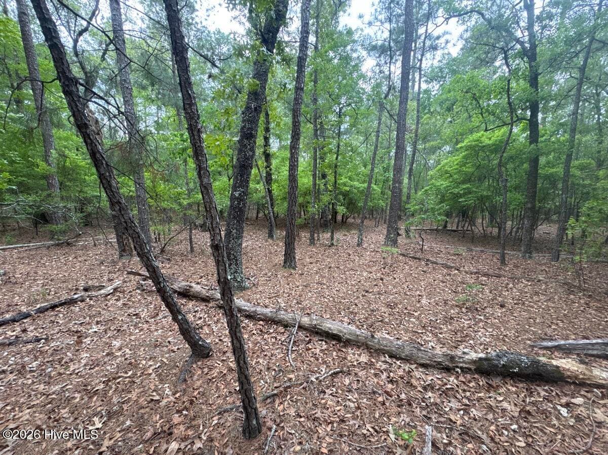 Undeveloped at 5, 6, 7 53 Off Highway, Atkinson, NC 28421, photo 5 of 12
