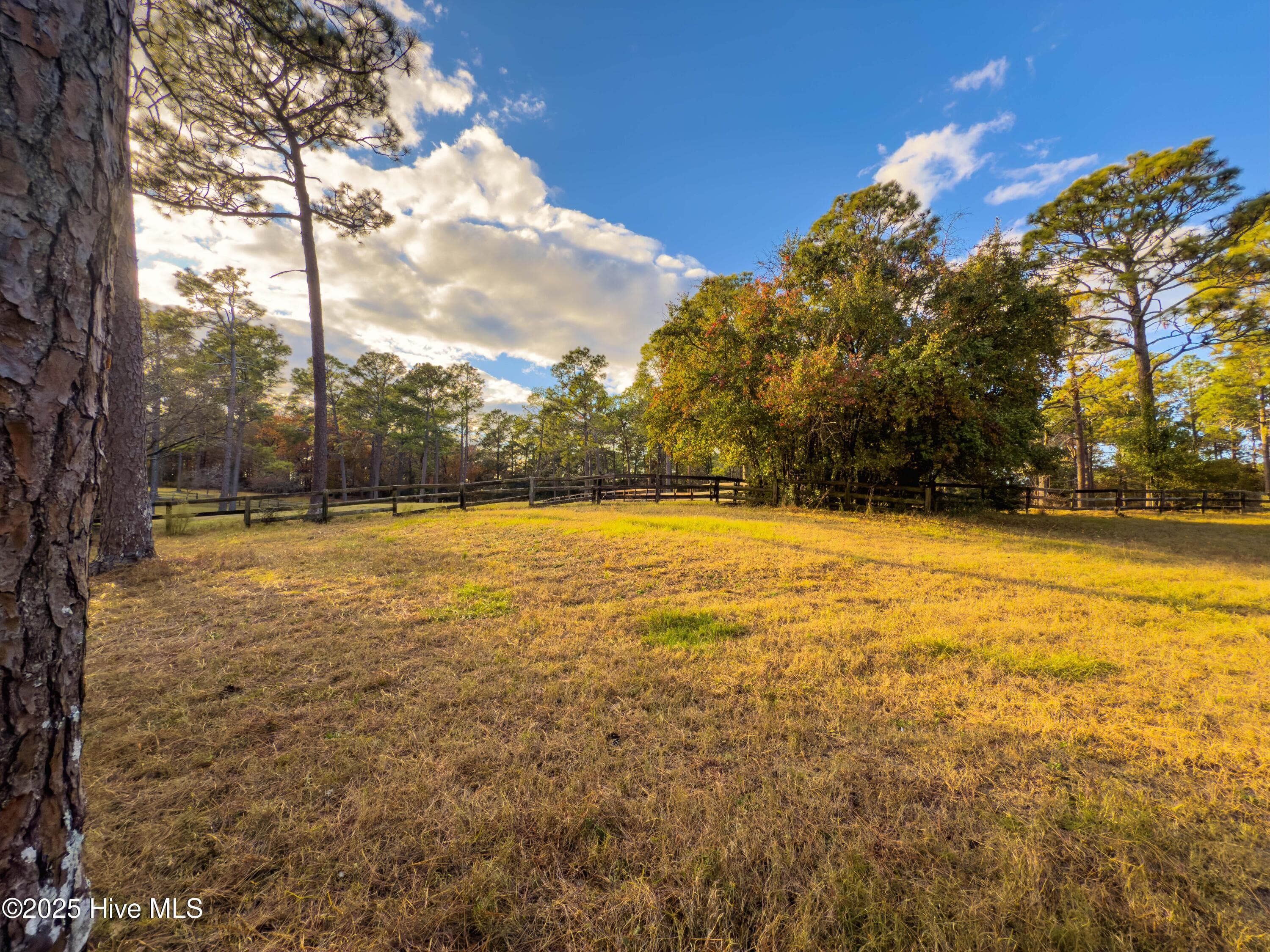 Single Family Residence at 292 Bump A Long Lane, Southern Pines, NC 28387, photo 15 of 82