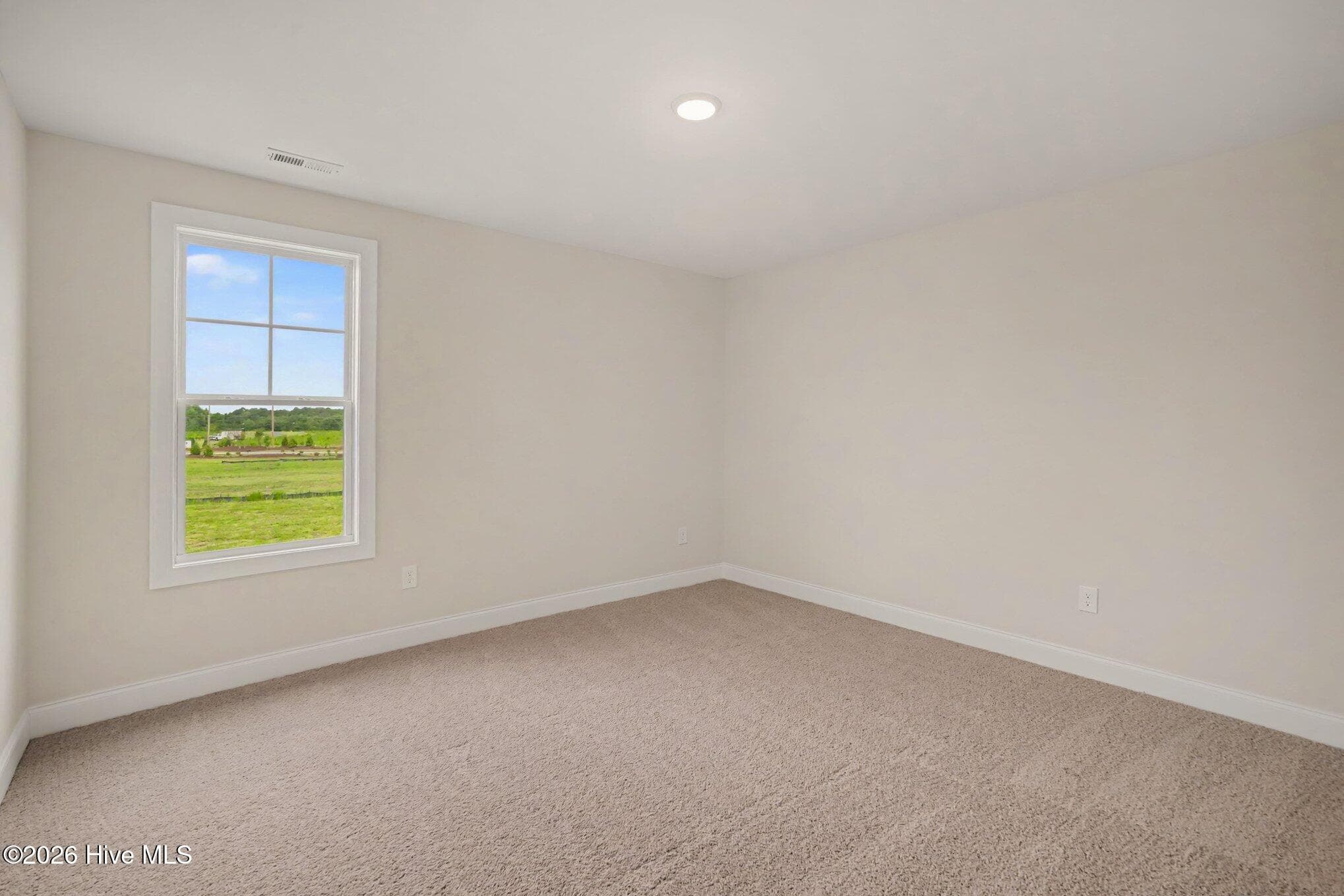 Single Family Residence at 117 Margot Manor Drive, Benson, NC 27504, photo 186 of 215