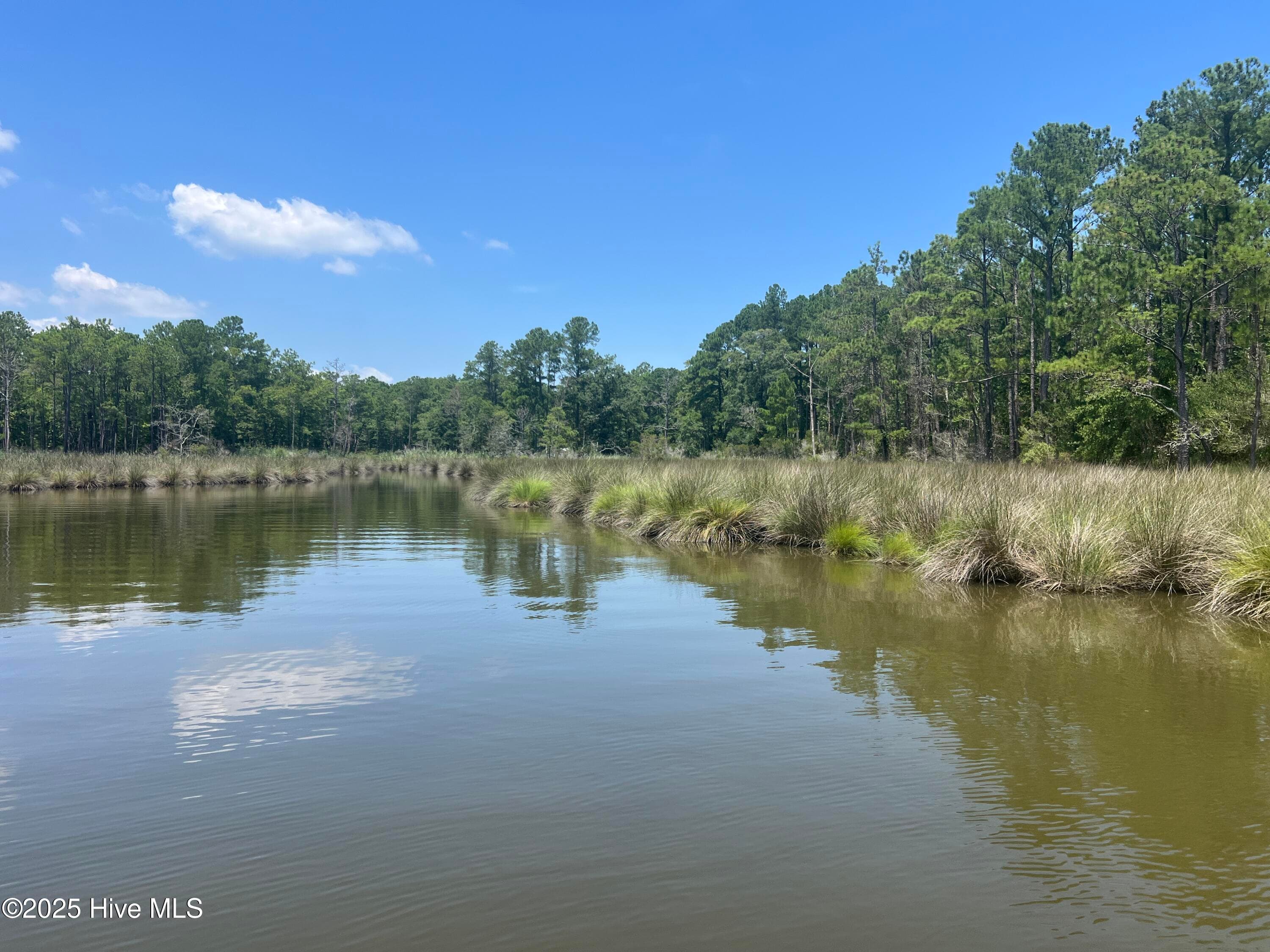 Residential Lot at 9918 Canady Landing Road, Aurora, NC 27806, photo 10 of 12