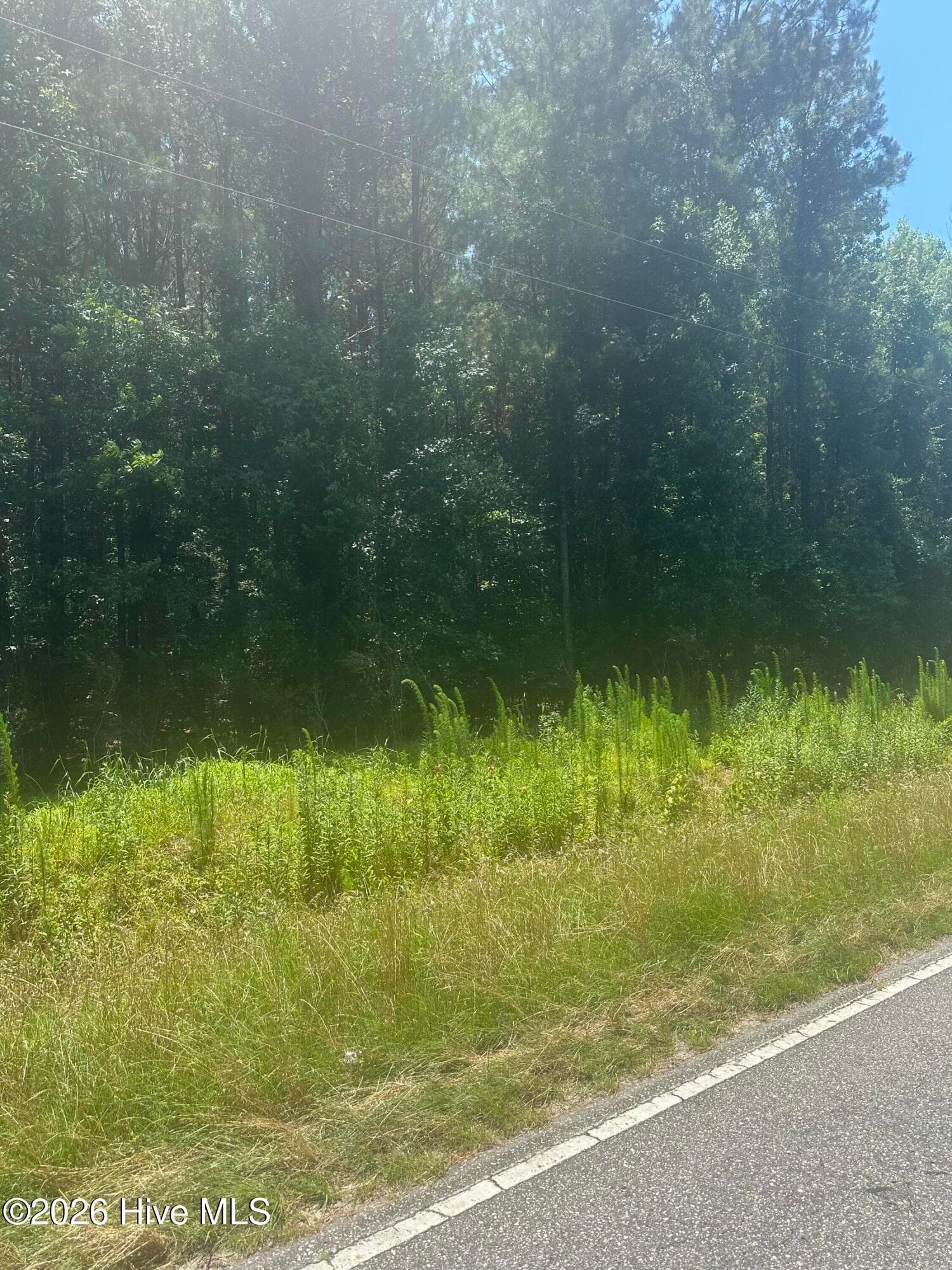 Wooded at Near 721 Near 721 Joe Piver R Road, Chadbourn, NC 28431, photo 11 of 21
