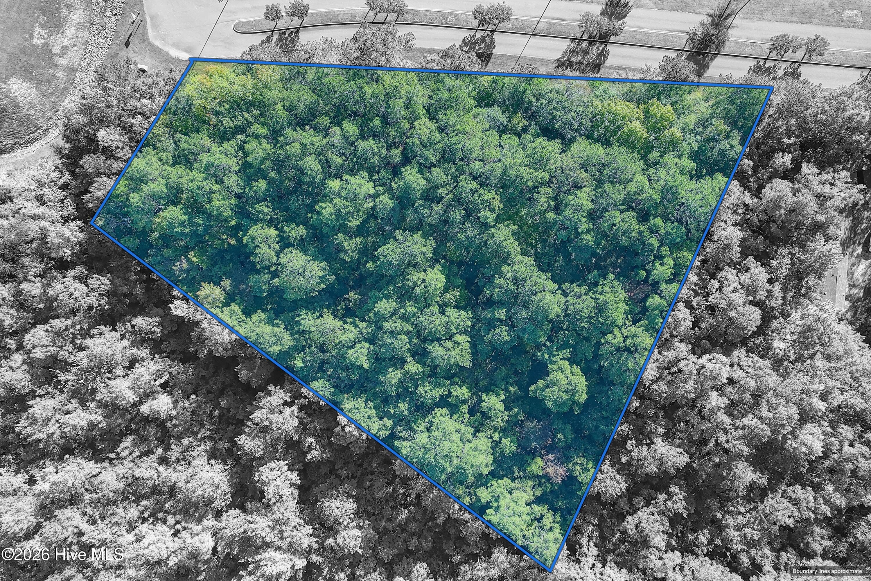 Undeveloped at 760 2 Standen Lane SW, Supply, NC 28462, photo 21 of 26