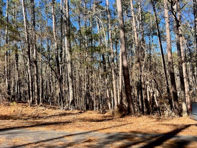 Residential Lot at 0 Oconee Lane, McCormick, SC 29835