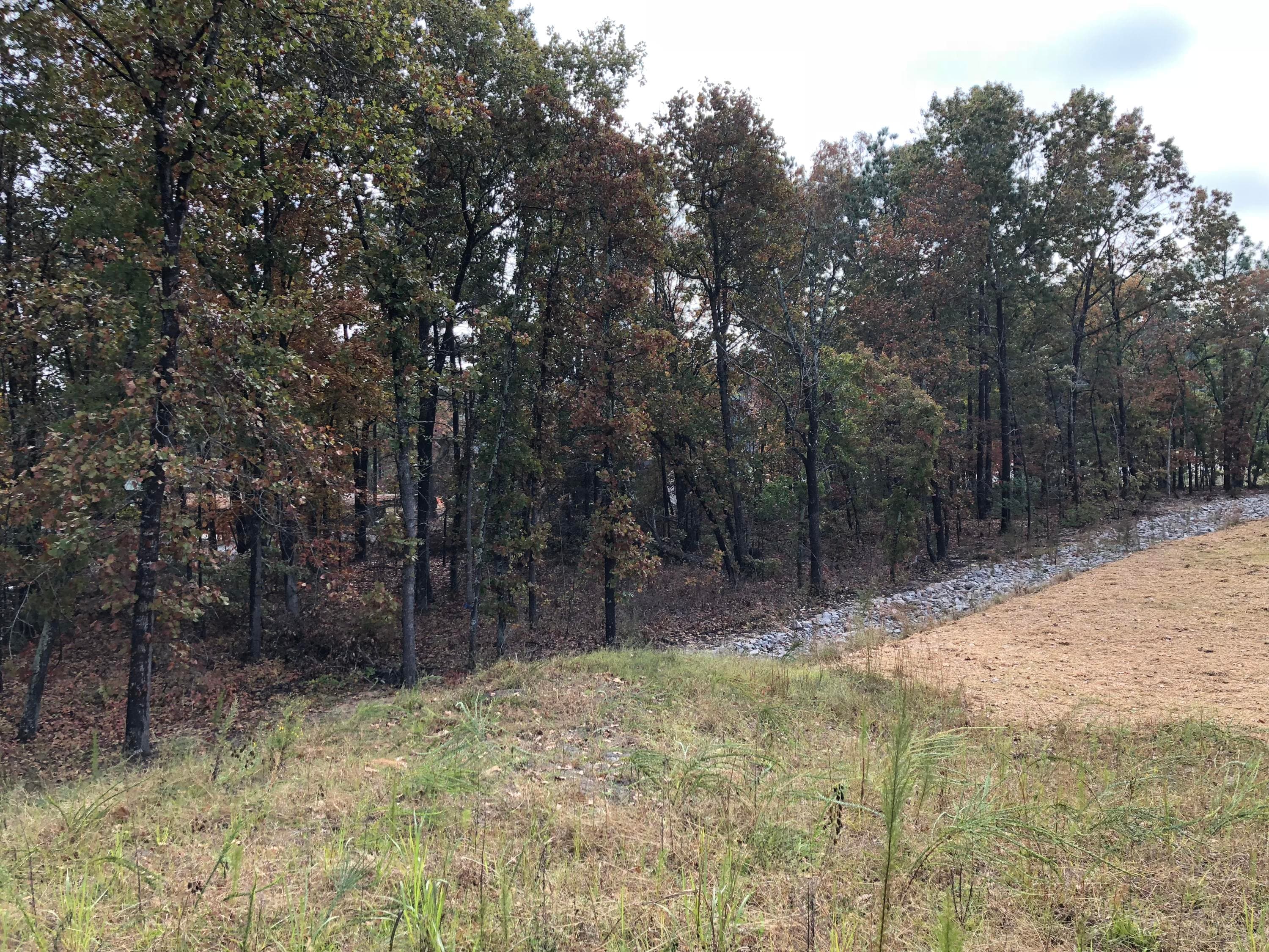 Unimproved Land at 7561 Nc 211, West End, NC 27376, photo 2 of 3