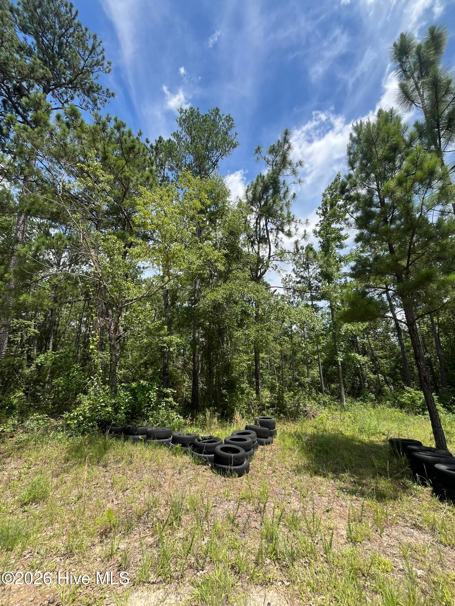 Undeveloped at 160 7 Charlene Drive, Hephzibah, GA 30815, photo 4 of 13