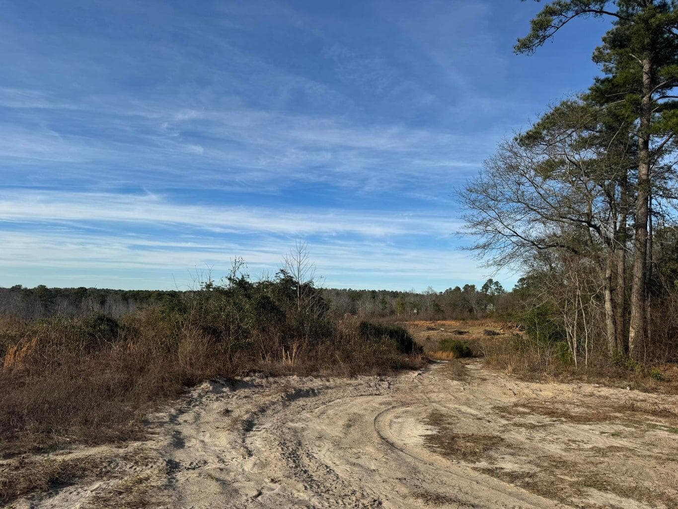 Undeveloped at 450 Bergen Road, North Augusta, SC 29860, photo 9 of 9