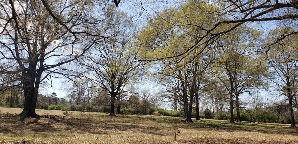 716 Augusta Road, Edgefield, SC 29824