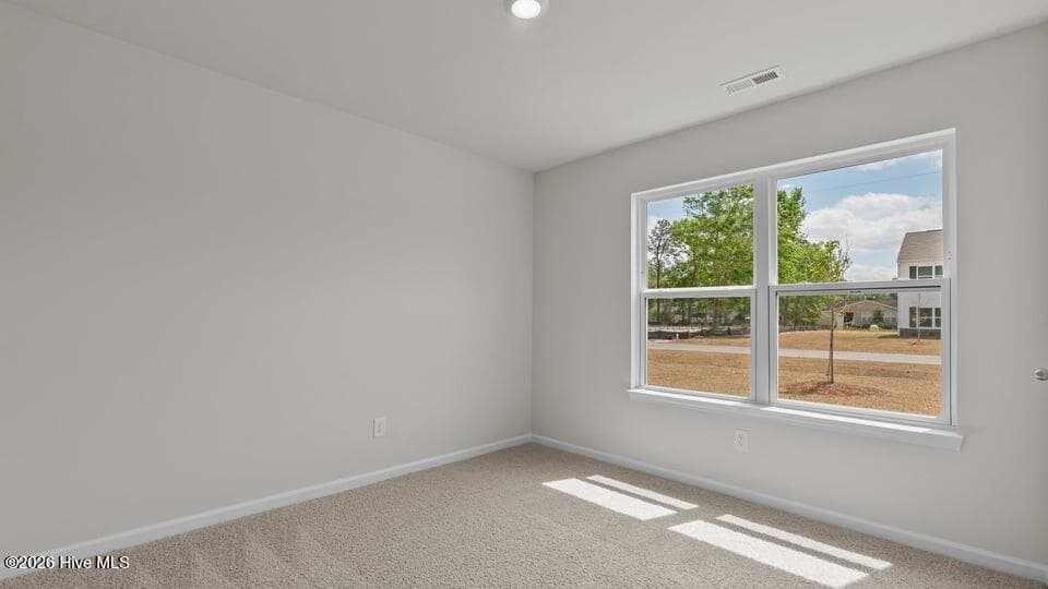 Single Family Residence at 132 Claude Street Lot 43, La Grange, NC 28551, photo 9 of 33