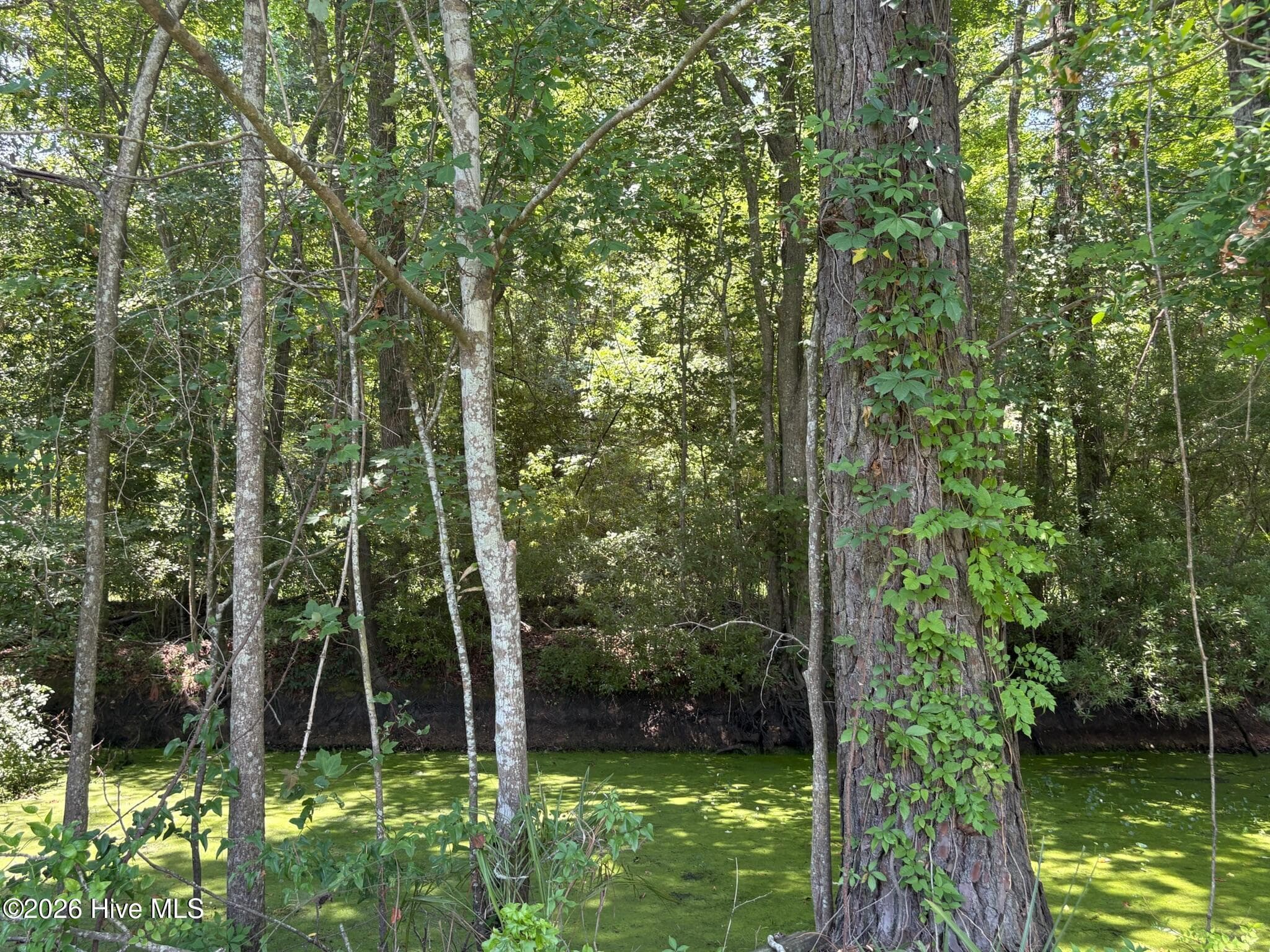 Residential Lot at Near 2072 49-53 Waccamaw Shores Road, Lake Waccamaw, NC 28450, photo 5 of 6