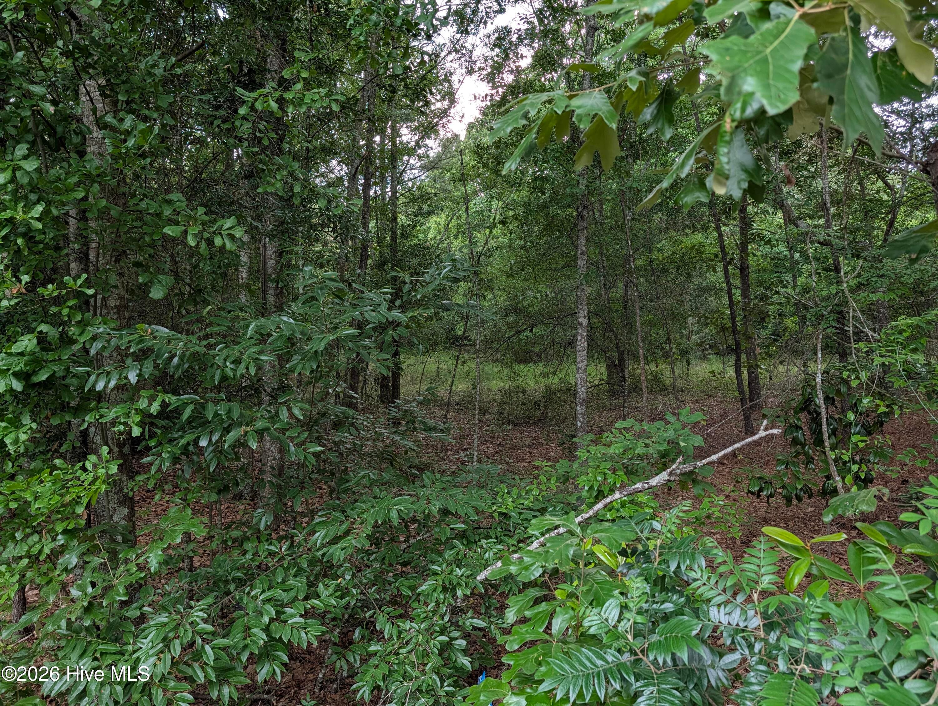 Residential Lot at 285 Garvin Drive, Wagener, SC 29164, photo 9 of 14