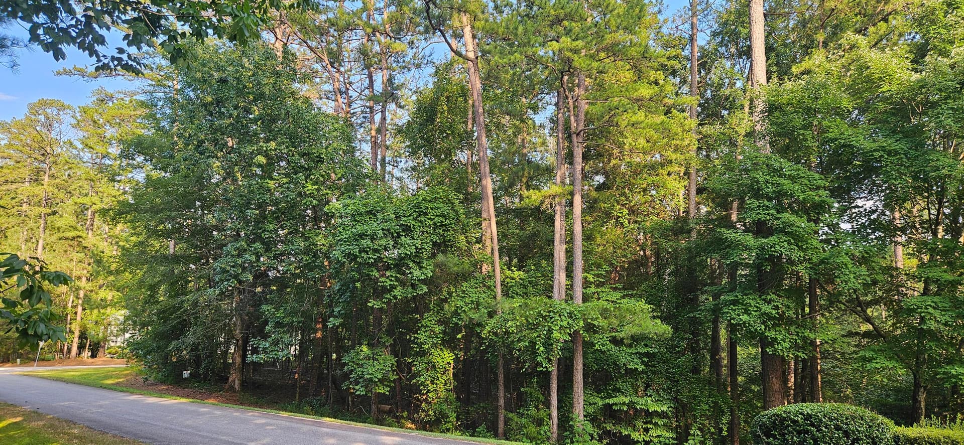 Residential Lot at Bl 6 Lot 9 9 Davis Drive, McCormick, SC 29835, photo 4 of 4