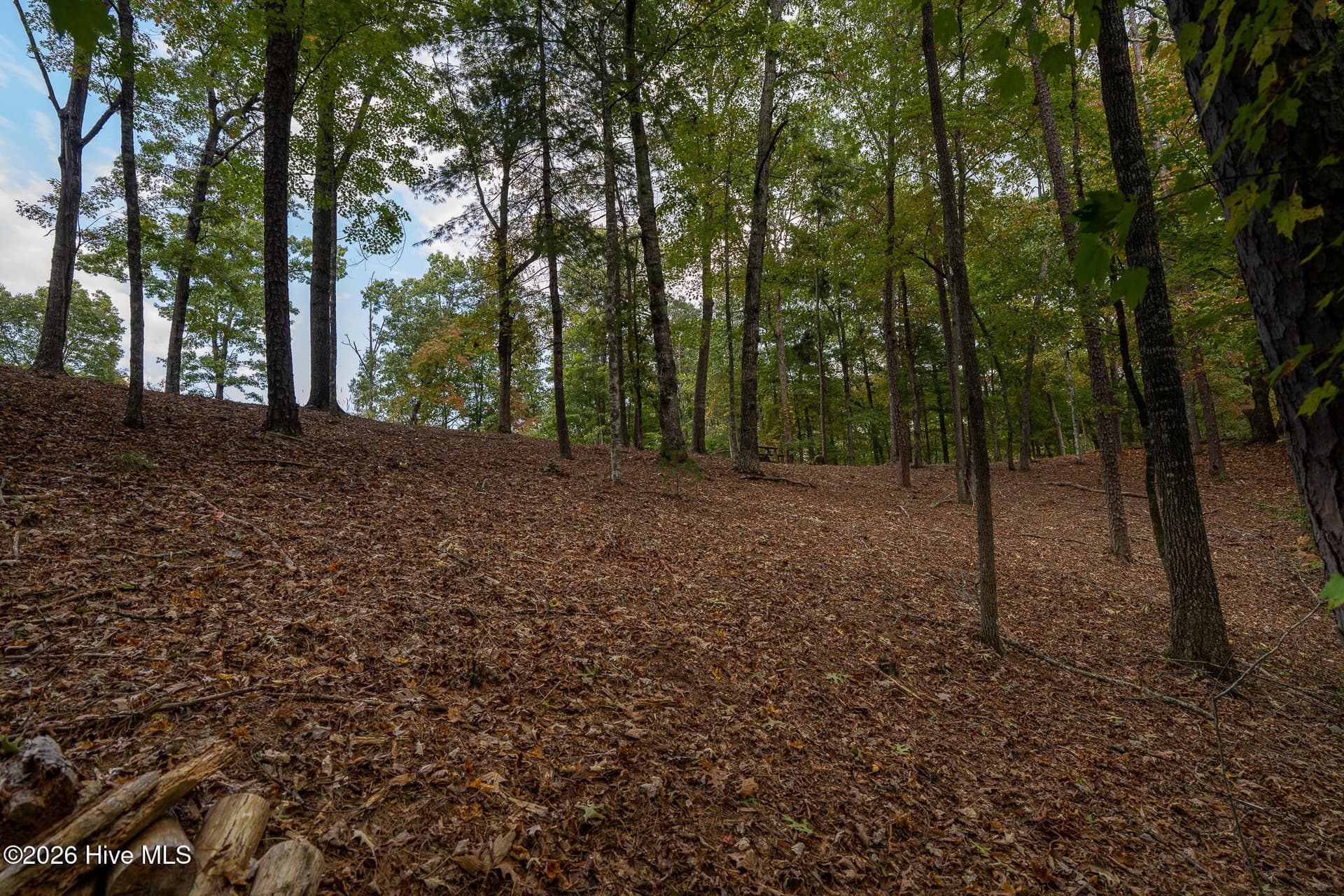 Wooded at Lot 22 Morris Ridge Drive, Murphy, NC 28906, photo 19 of 23