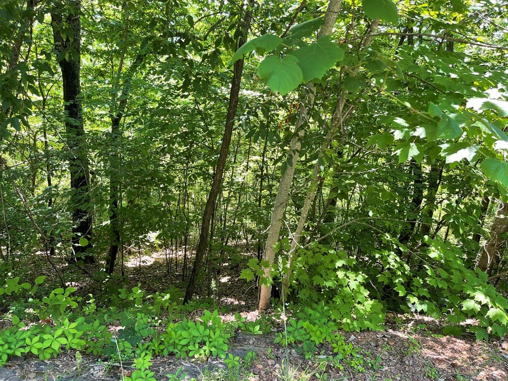 Residential Lot at Lot 33b 33B Grandview Drive, Hayesville, NC 28904, Hayesville, photo 2 of 8