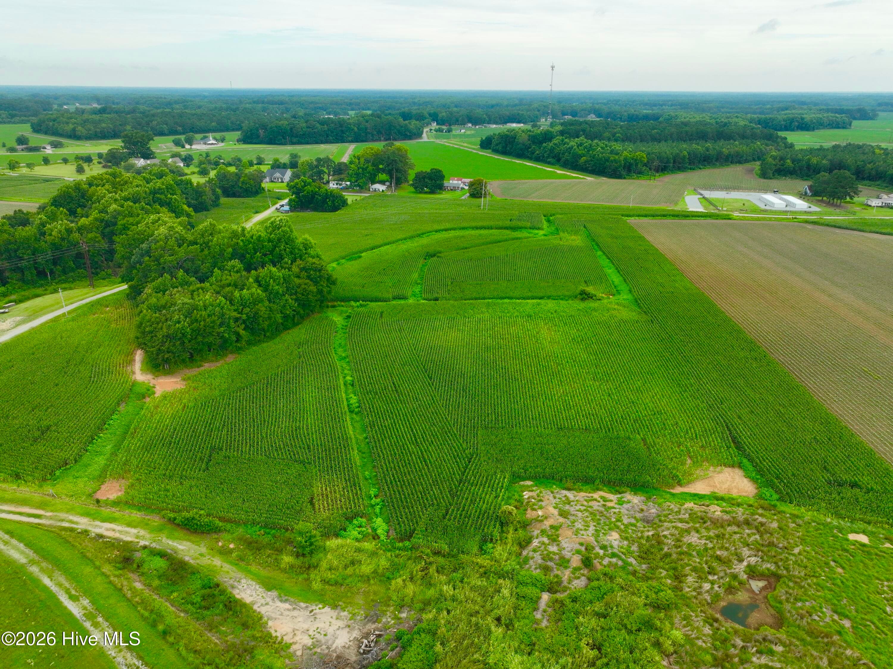 Farm at 478 Davis Mill Road, Fremont, NC 27830, photo 7 of 21
