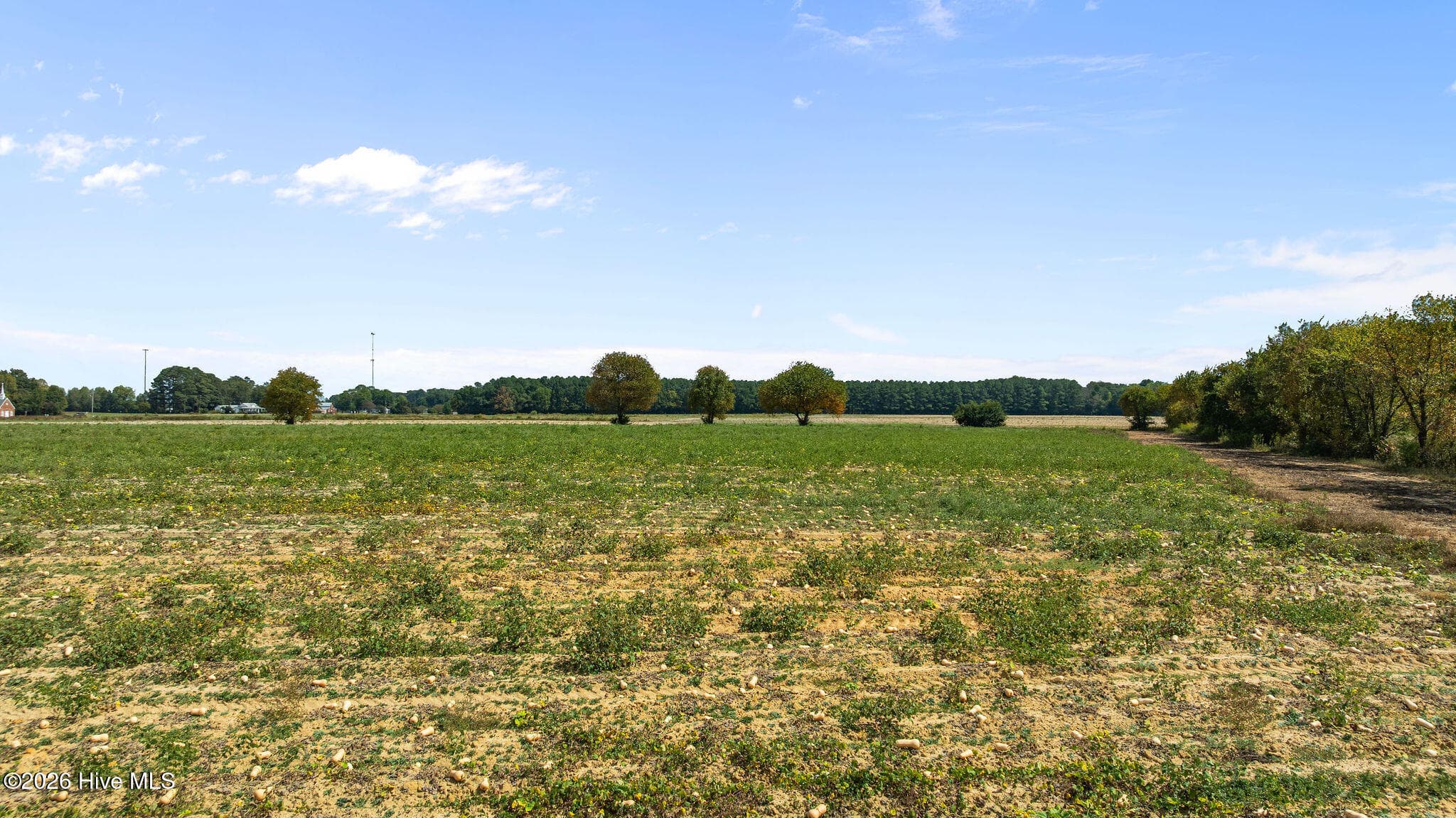 Residential Lot at 0 Eagle Ridge Lane, La Grange, NC 28551, photo 7 of 11