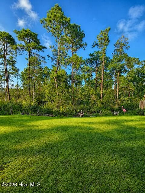 Single Family Residence at 2106 Willowleaf Drive Lot 28, Leland, NC 28451, photo 16 of 34