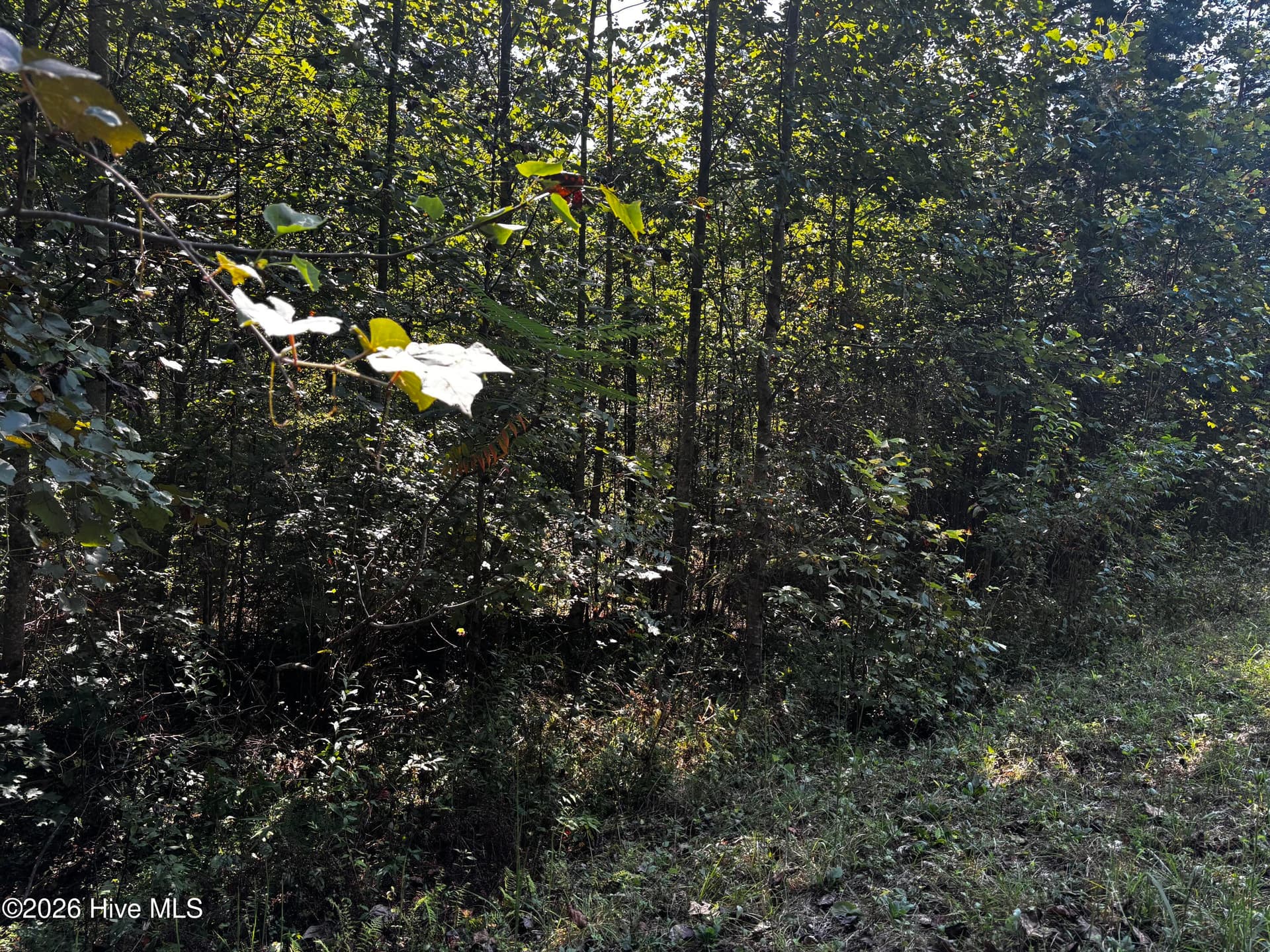 Residential Lot at 00 35 Highland Ridge Trail, Murphy, NC 28906, photo 4 of 8