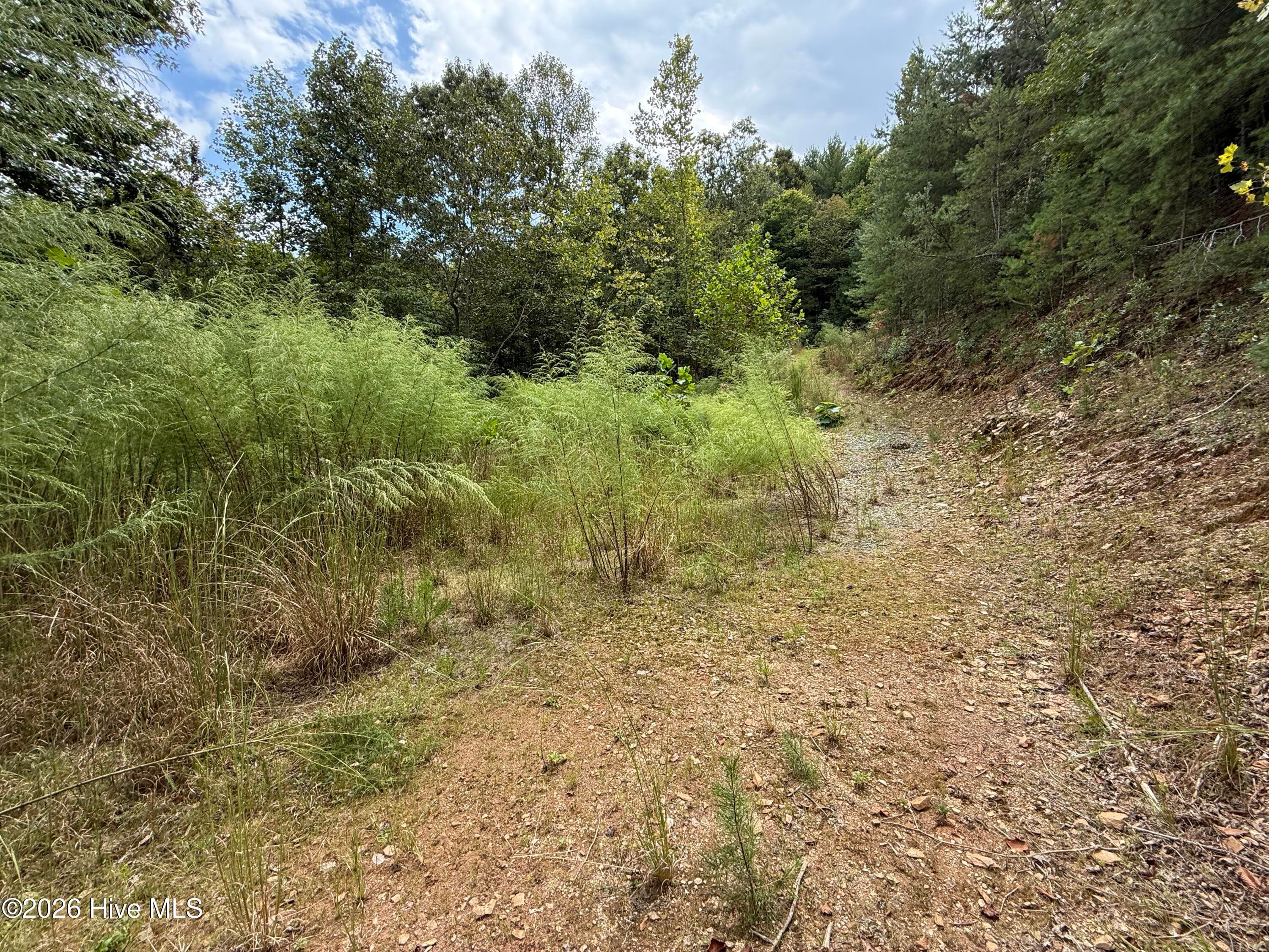 Residential Lot at 190 Leisey Lane, Murphy, NC 28906, photo 6 of 7