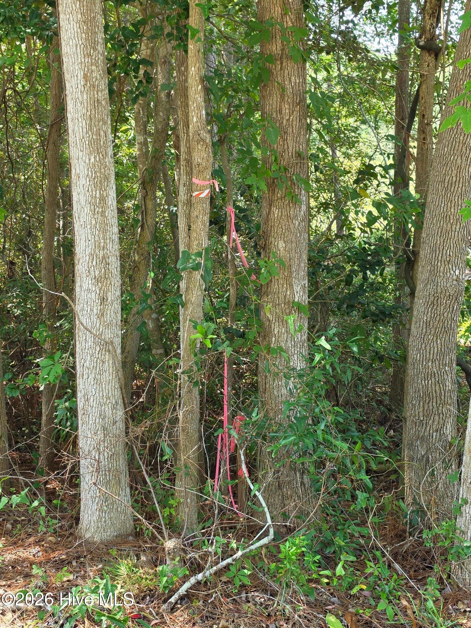 LOT 44 , PINE SHORES DRIVE - 44 Pine Shores Drive, Southport, NC 28461