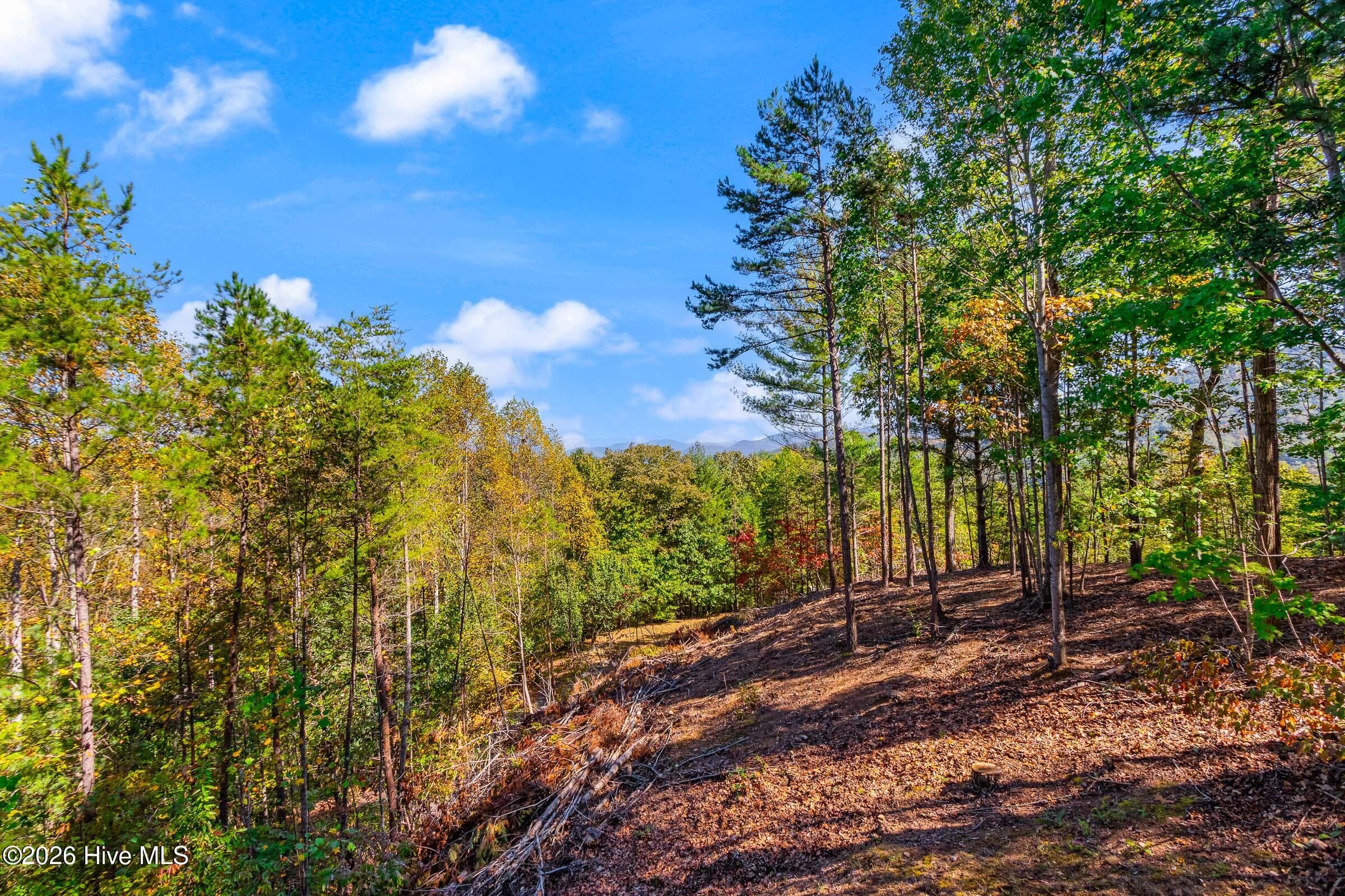 Single Family Residence at 75 Mountain Overlook Drive, Murphy, NC 28906, photo 18 of 80
