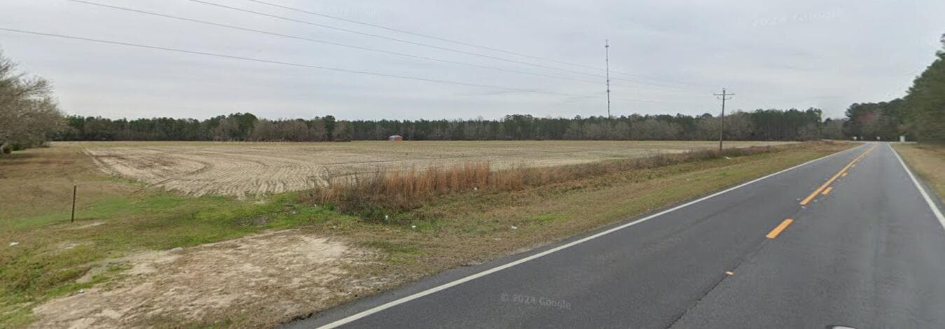 Undeveloped at 20945 Georgia 46, Pembroke, GA 31321, photo 4 of 12