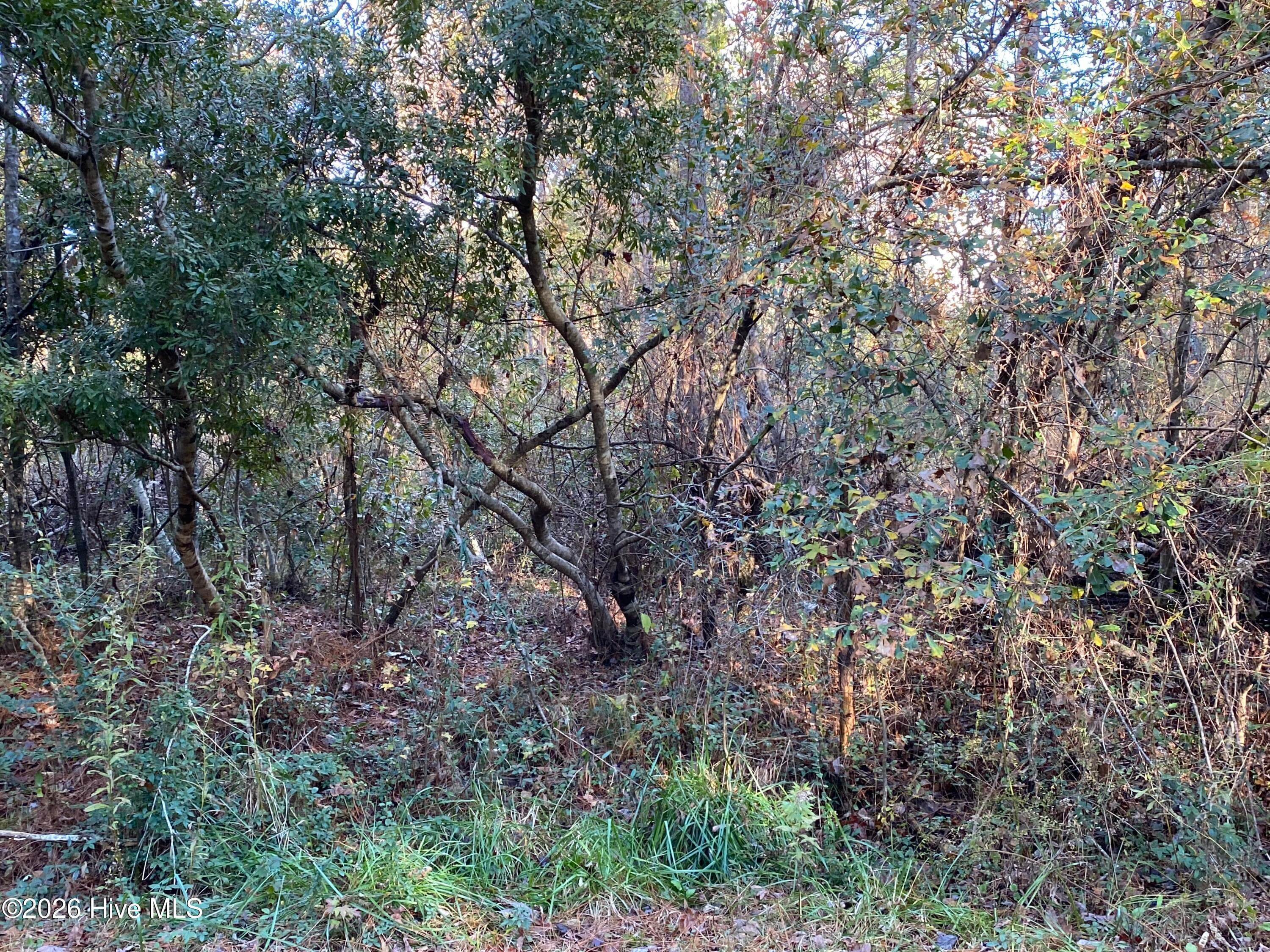 255 Wards Lane, Havelock, NC 28532