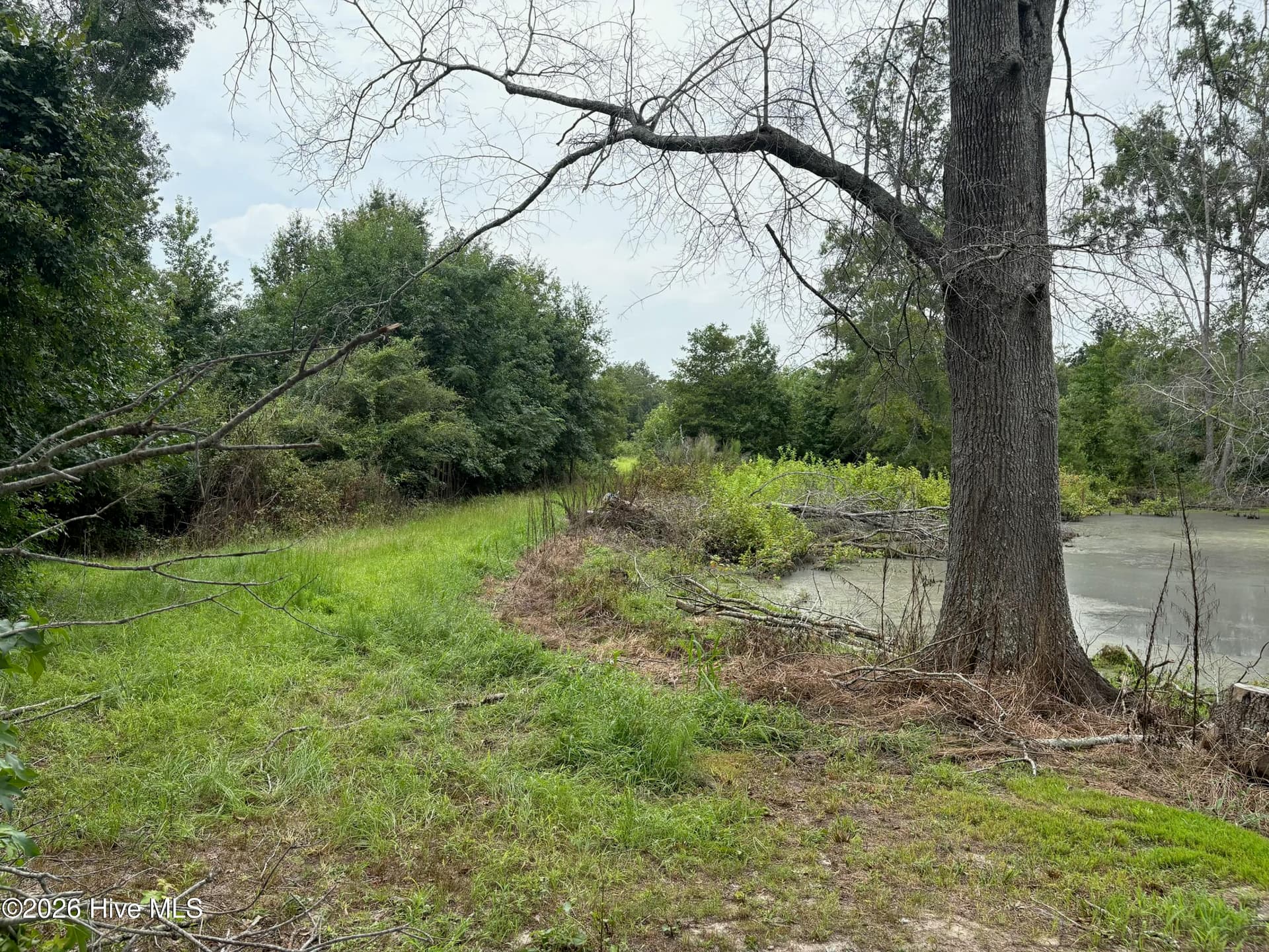 Residential Lot at 0 0 Poole Melton Road, Blythe, GA 30805, photo 13 of 15
