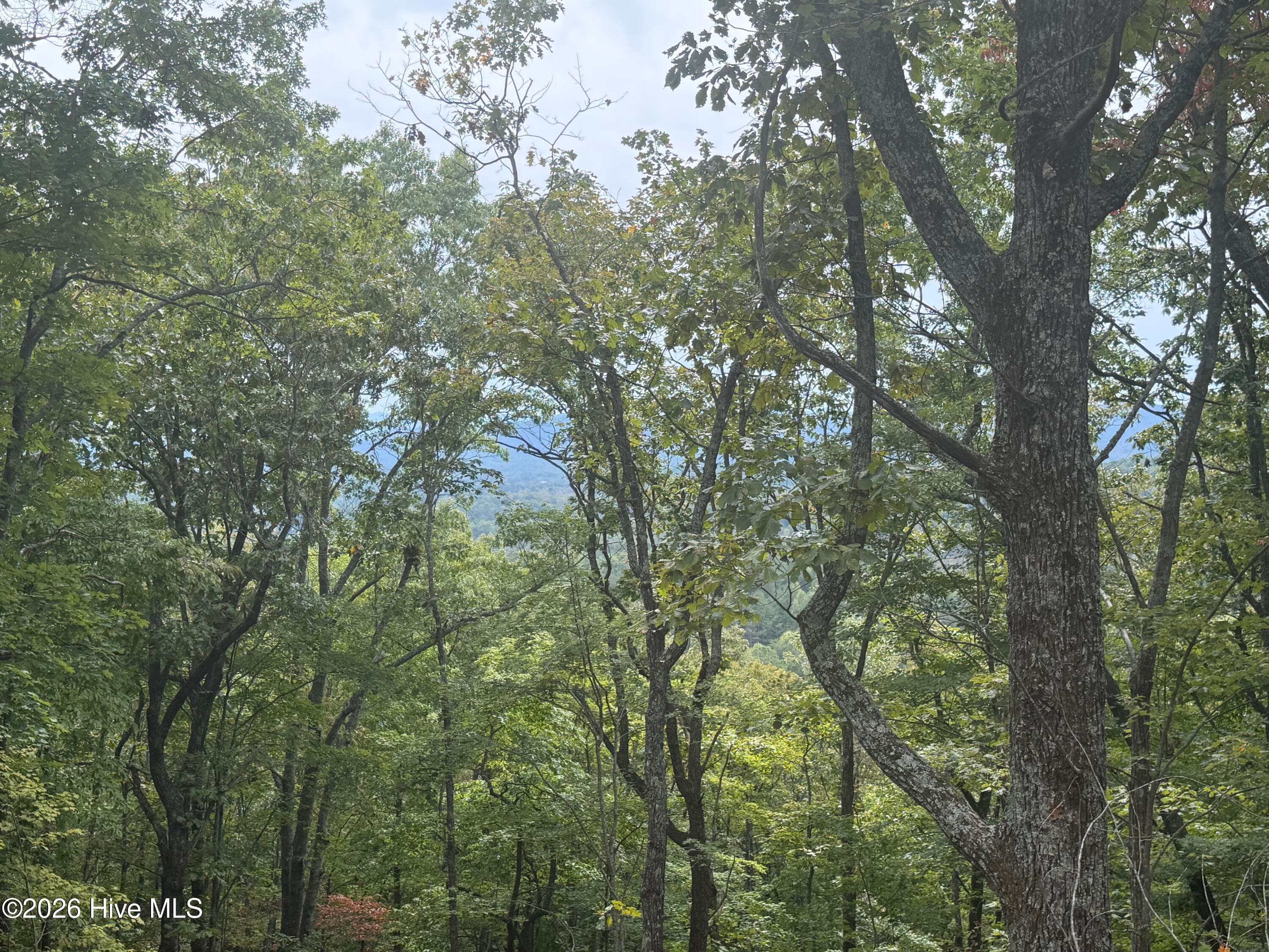 Single Family Residence at Lot 37 Quail Creek, Murphy, NC 28906, photo 61 of 73