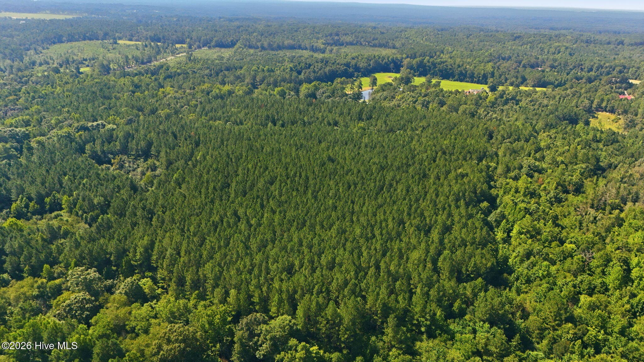 Wooded at Off Pats Road, Vass, NC 28394, Vass, photo 2 of 2