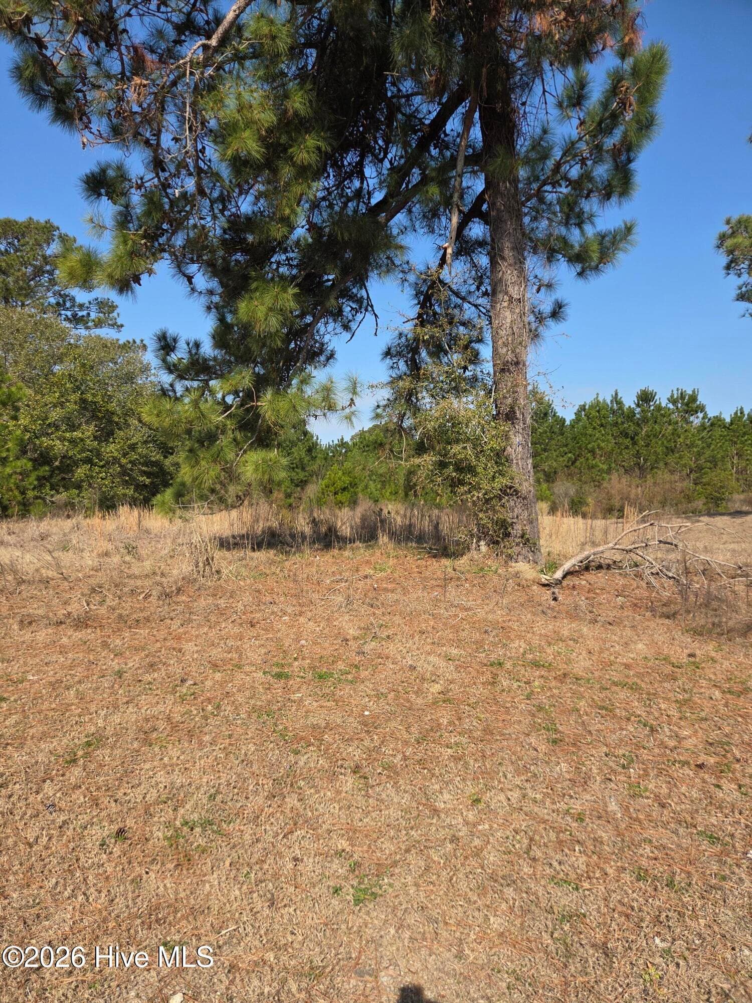 Residential Lot at 7439 67 Donegal Circle SW, Sunset Beach, NC 28468, photo 4 of 6