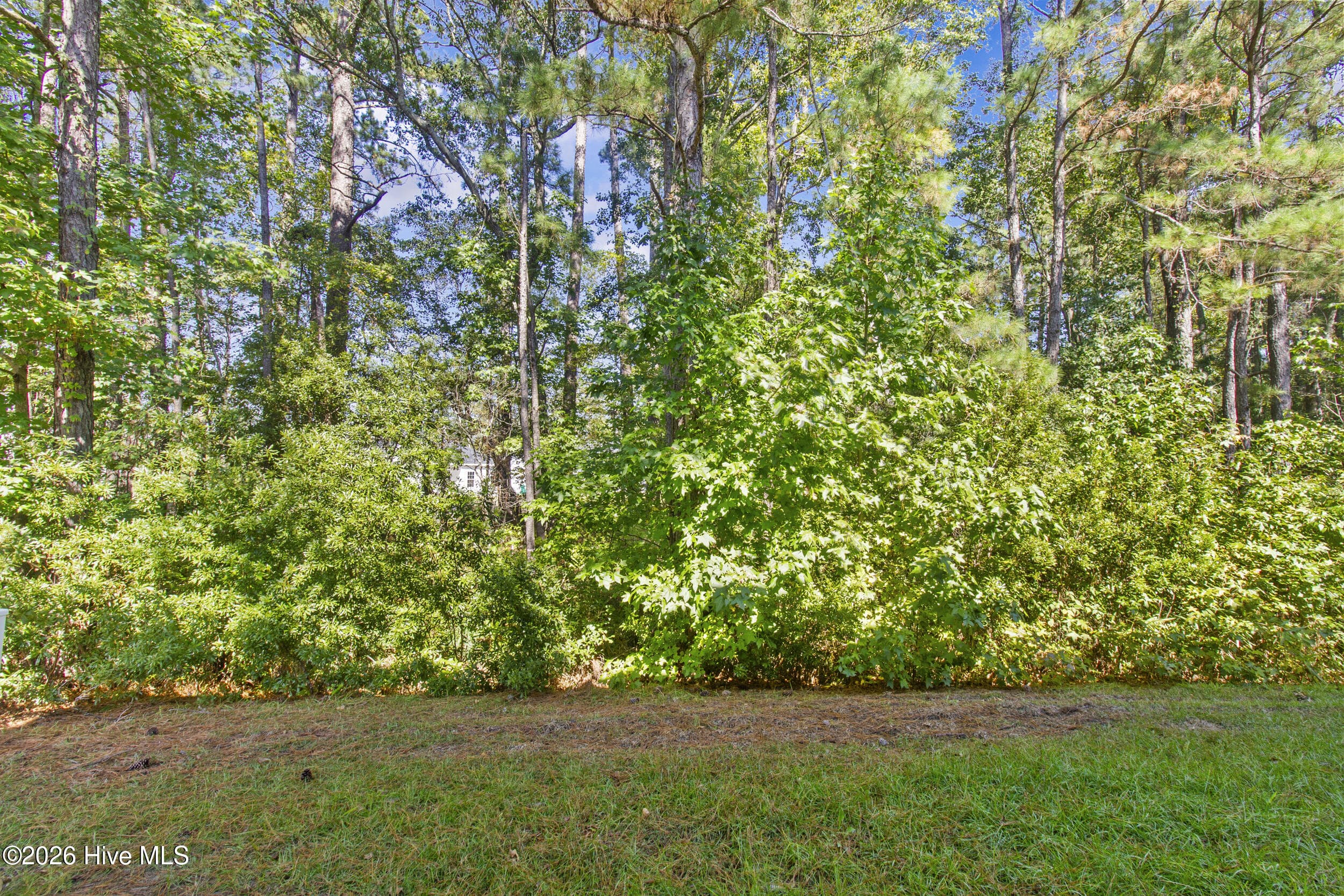 Townhouse at 109 Jaydn Drive E, Jacksonville, NC 28546, Jacksonville, photo 38 of 38