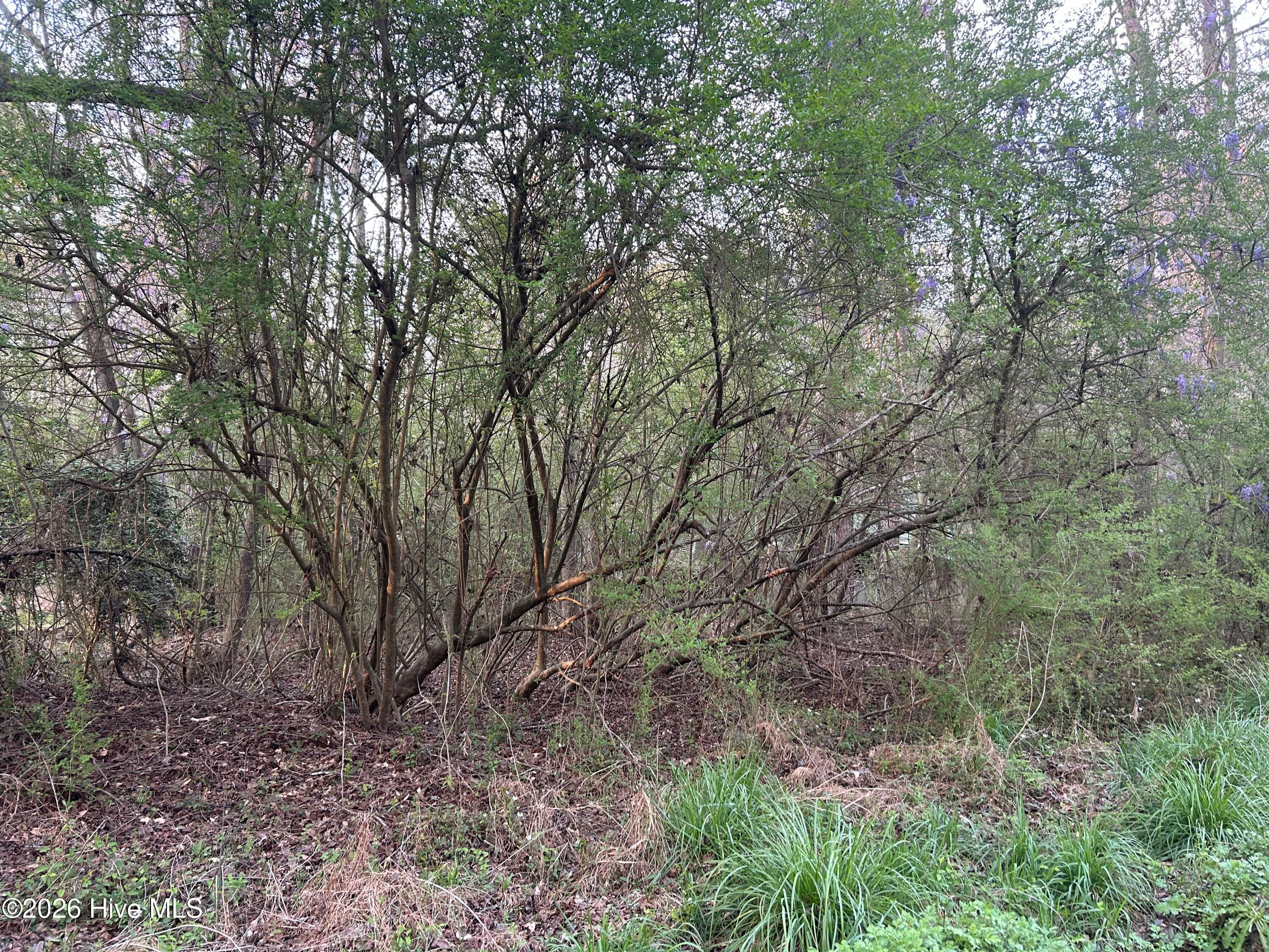 Residential Land at 351 Burgaw Creek Loop Road, Burgaw, NC 28425, photo 19 of 21