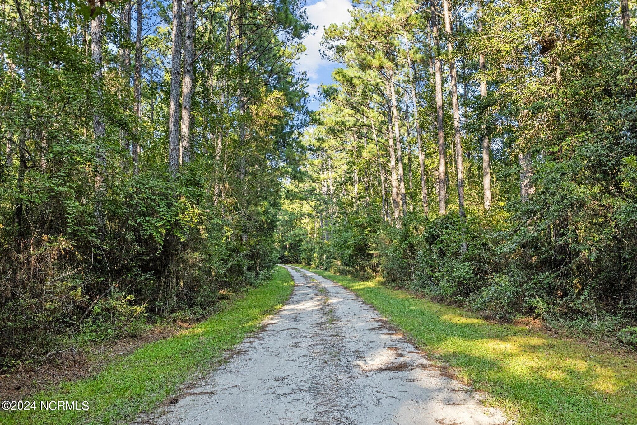 Residential Lot at 280 Donnie Davis Road, Williston, NC 28589, photo 8 of 22