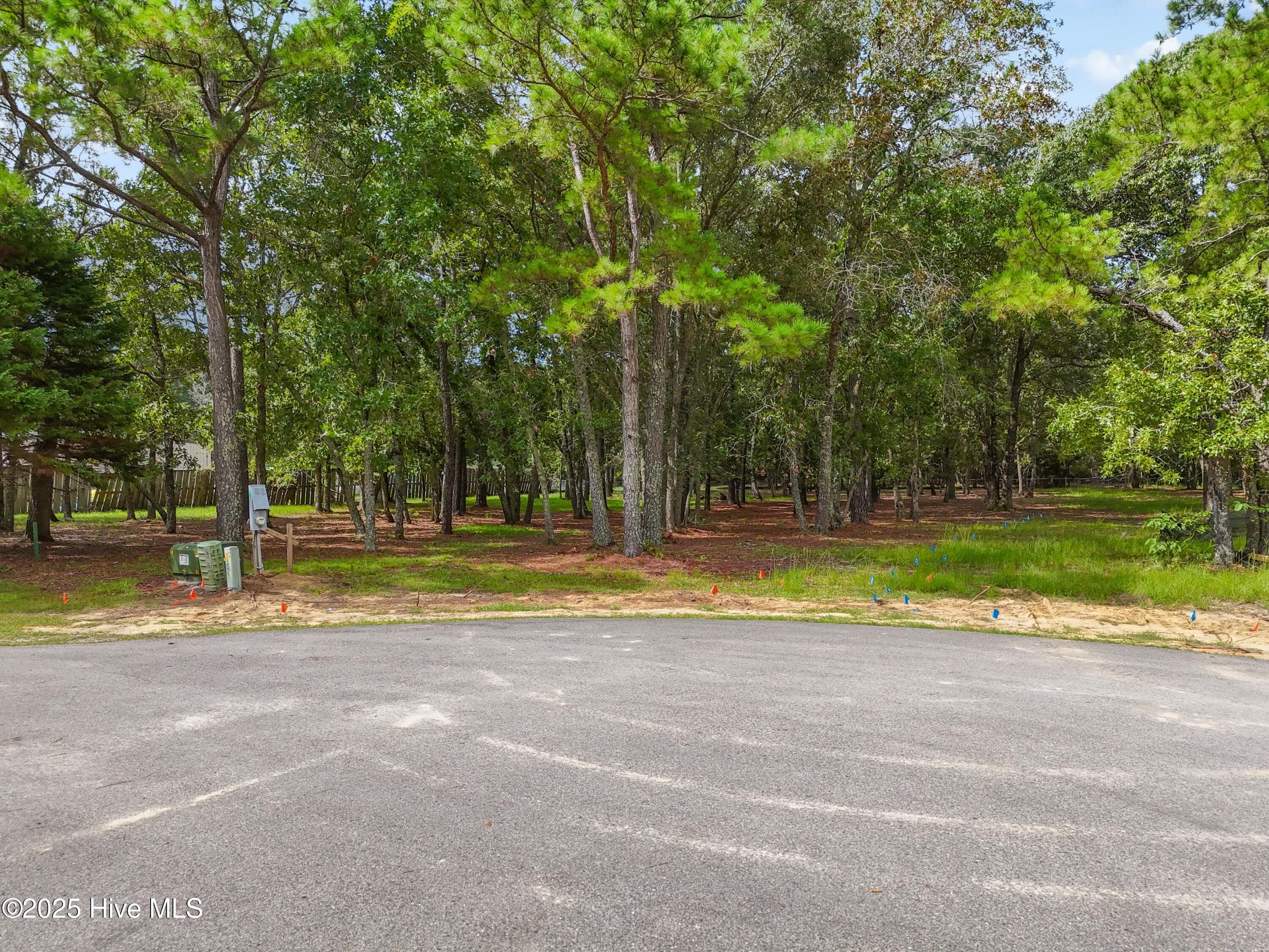 Residential Lot at 3055 Purple Finch Lane SW, Supply, NC 28462, photo 3 of 9