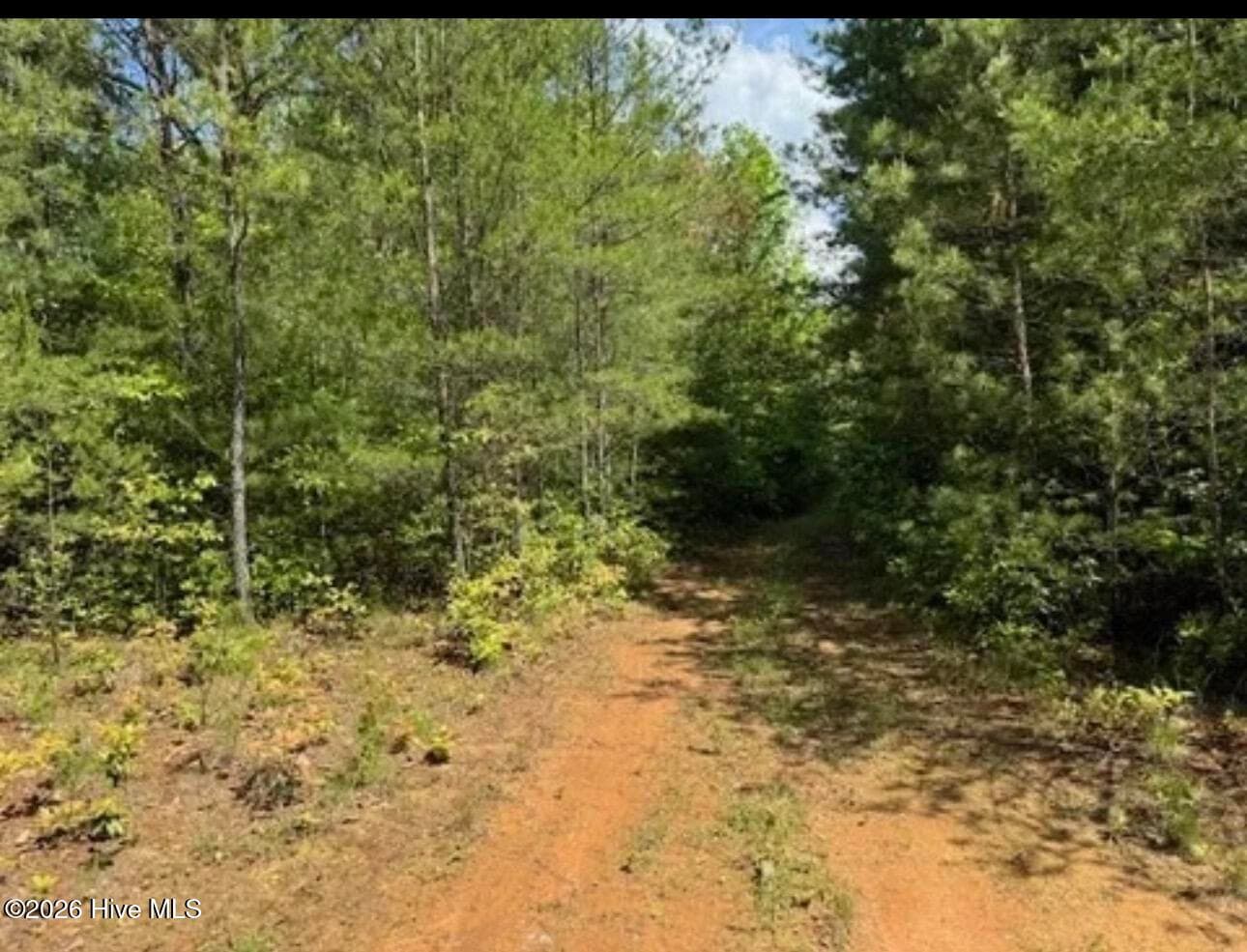 Residential Lot at 14 Tyler Lane, Marble, NC 28905, photo 4 of 4