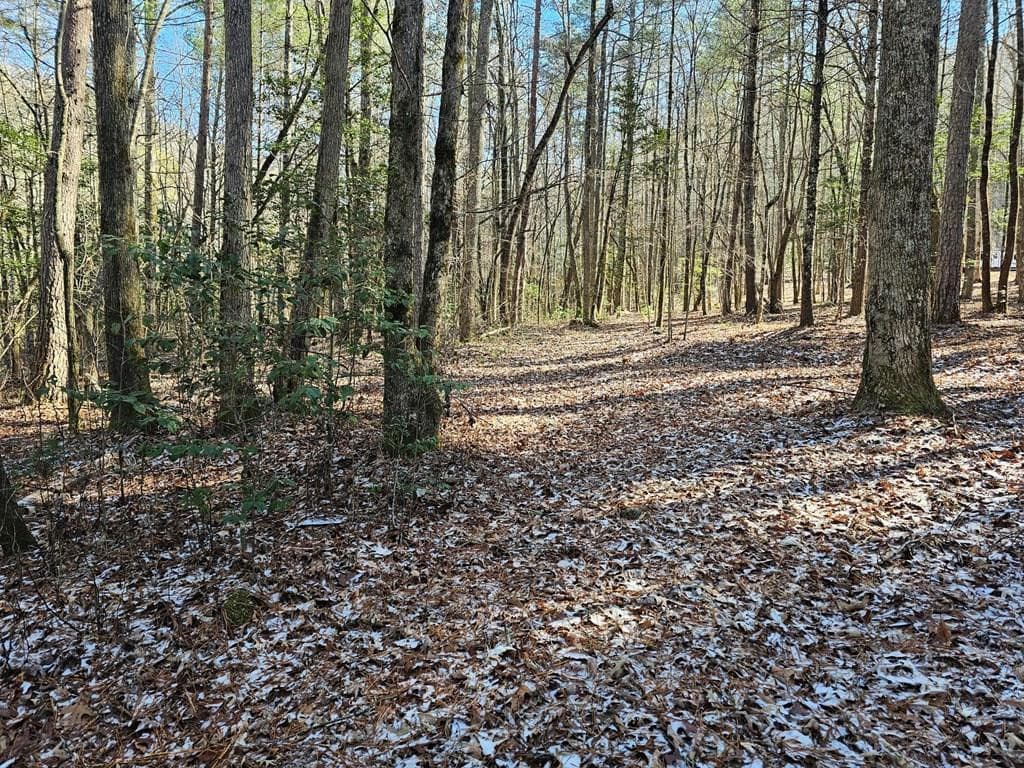 0 1&53 Beaverdam Road, Murphy, NC 28906