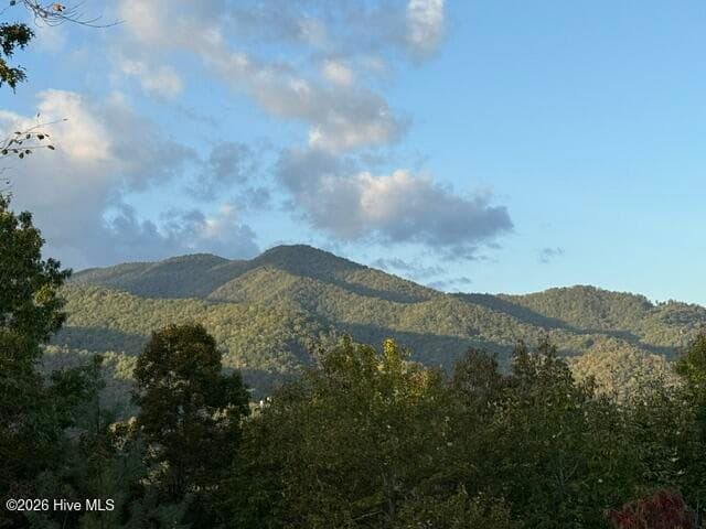 Mixed Use at 8,9 8,9 Downings Creek Road, Hayesville, NC 28904, Hayesville, photo 6 of 13