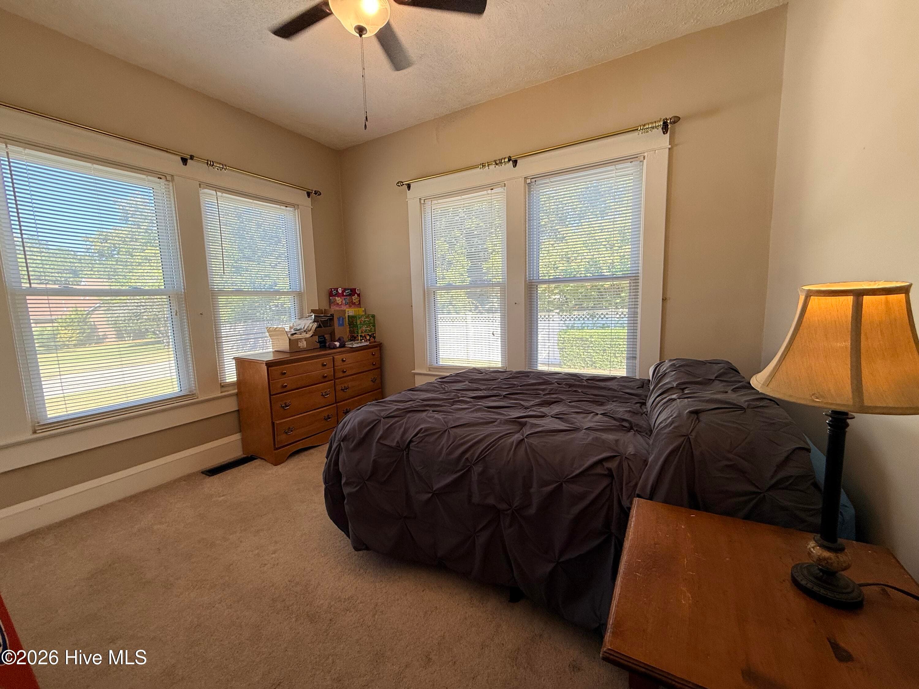 Single Family Residence at 408 Boyette Street, Hamlet, NC 28345, photo 56 of 76