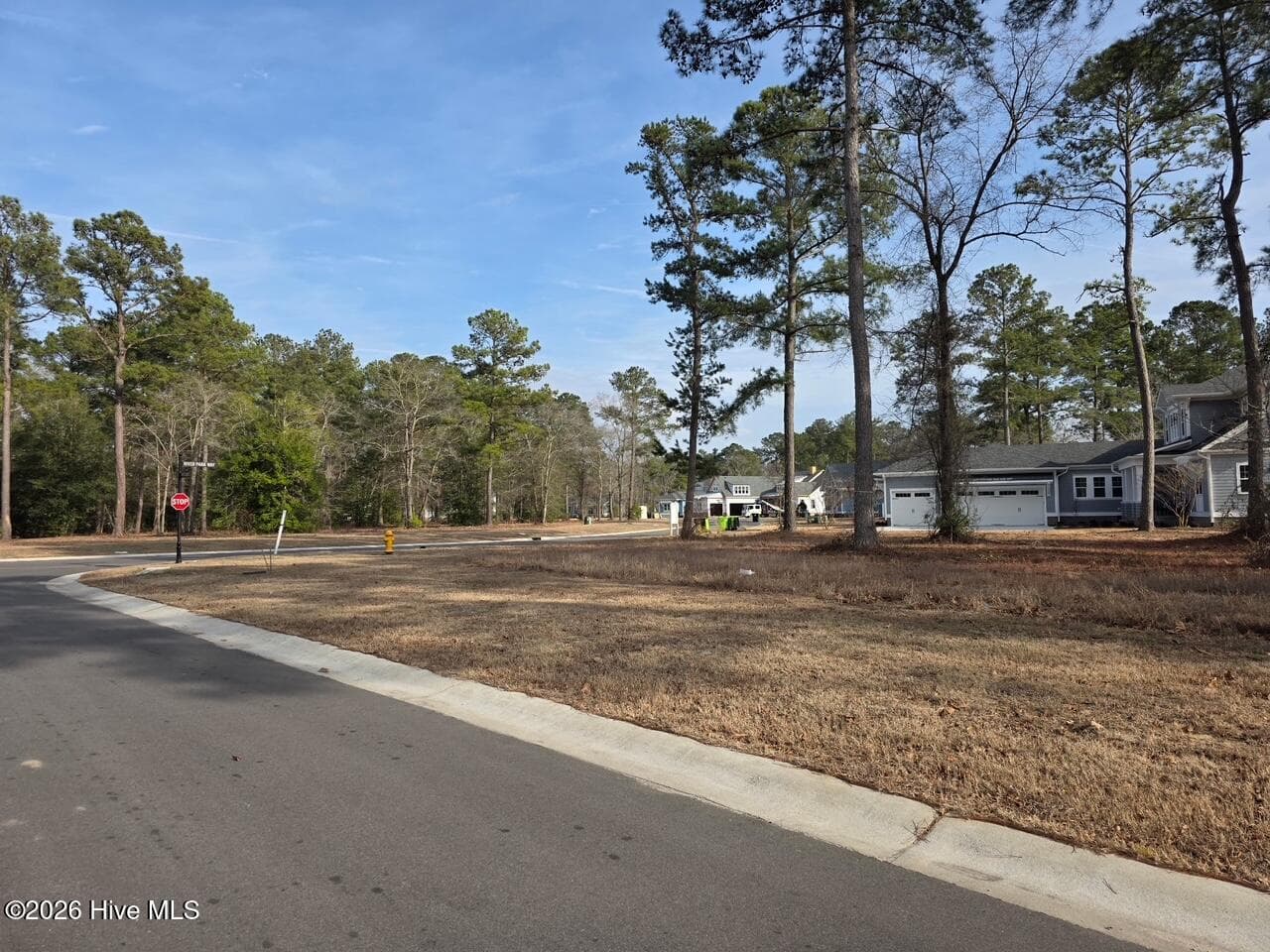 Residential Lot at 3764 530 River Park Way NE, Leland, NC 28451, photo 2 of 75