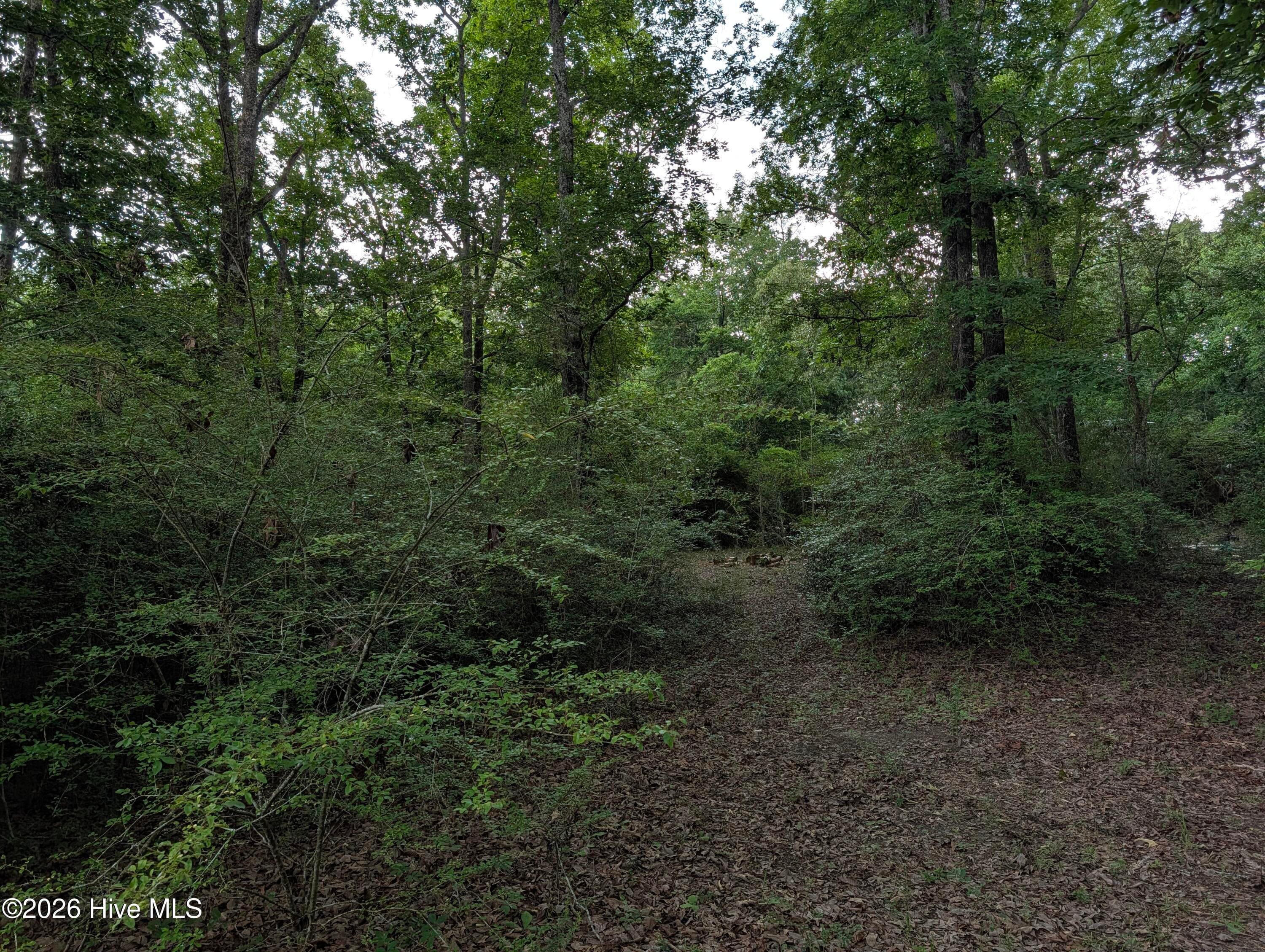 Residential Lot at 285 Garvin Drive, Wagener, SC 29164, photo 11 of 14
