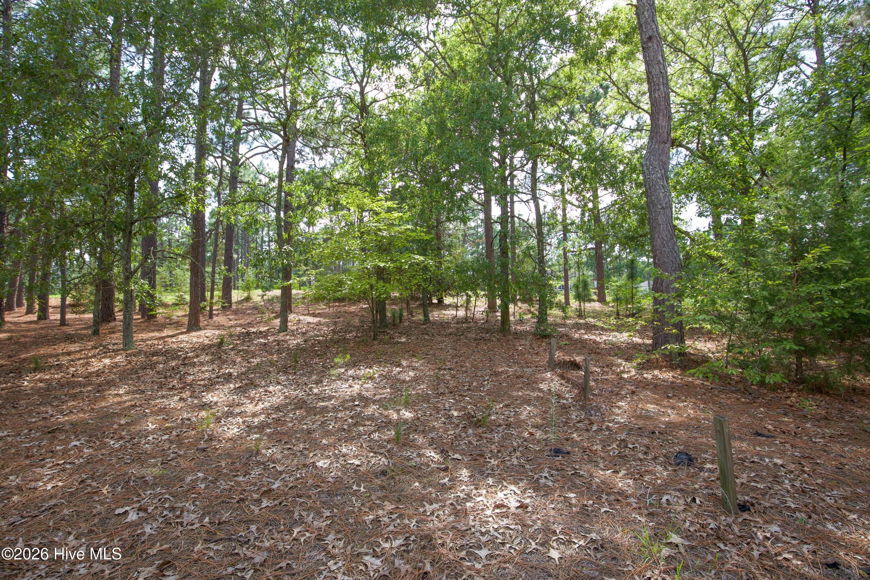 Single Family Residence at 48 Martin Drive, Whispering Pines, NC 28327, Whispering Pines, photo 40 of 49