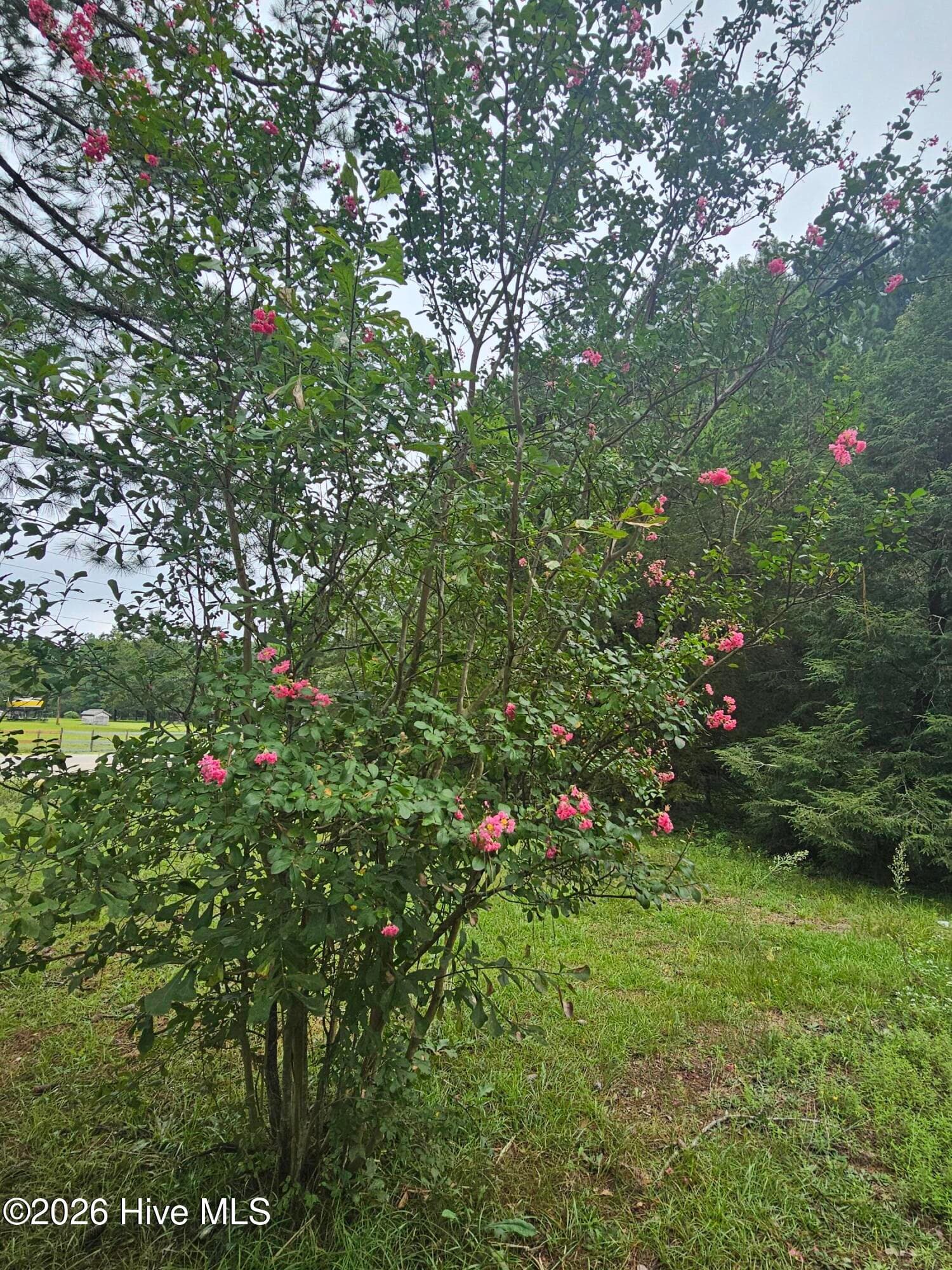 Undeveloped at 23 Southfork Road, Parkton, NC 28371, photo 3 of 7