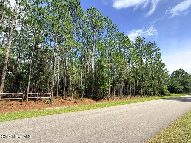 Property is to right of the fence - L-26 & 27 26/27 Eden Drive, Boiling Spring Lakes, NC 28461