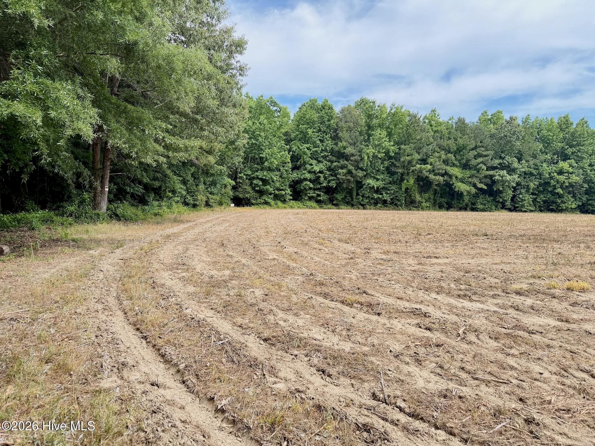 Recreation at 0 Off 1040d Republican Road, Windsor, NC 27983, photo 5 of 27