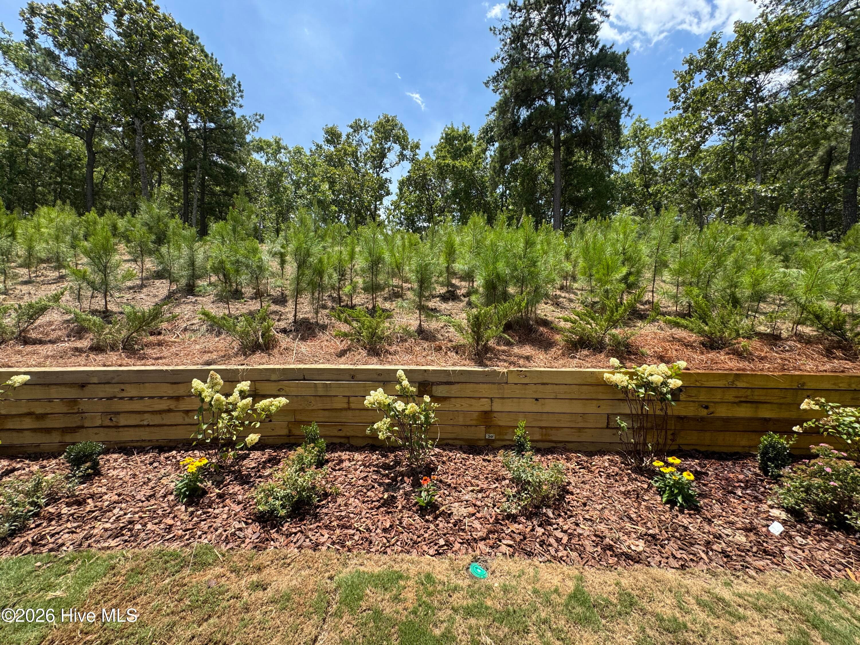 Single Family Residence at 298 Rough Ridge Trail 29, Aberdeen, NC 28315, photo 168 of 189