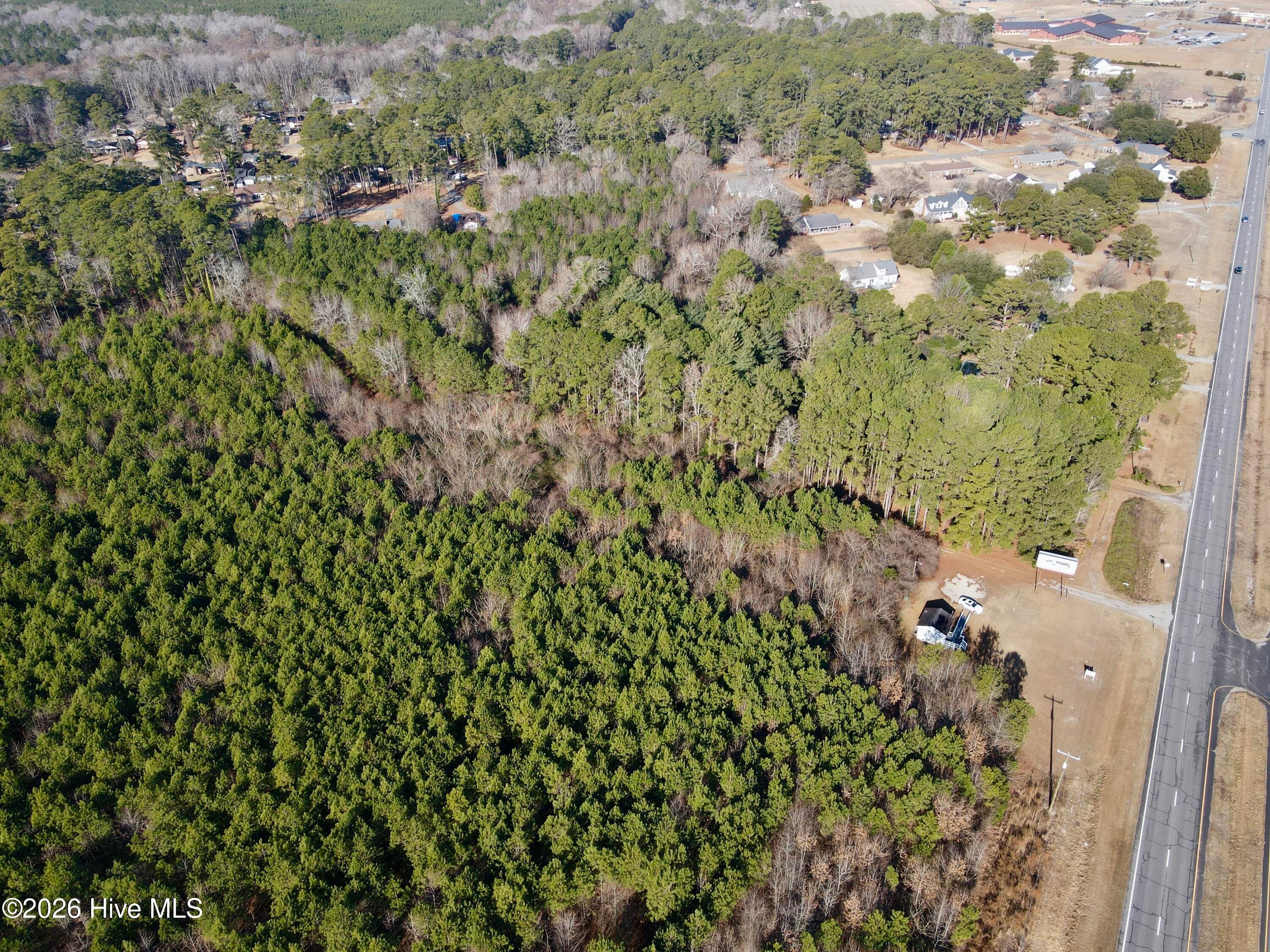 Wooded at 0 Alexander Lane, Williamston, NC 27892, photo 7 of 11