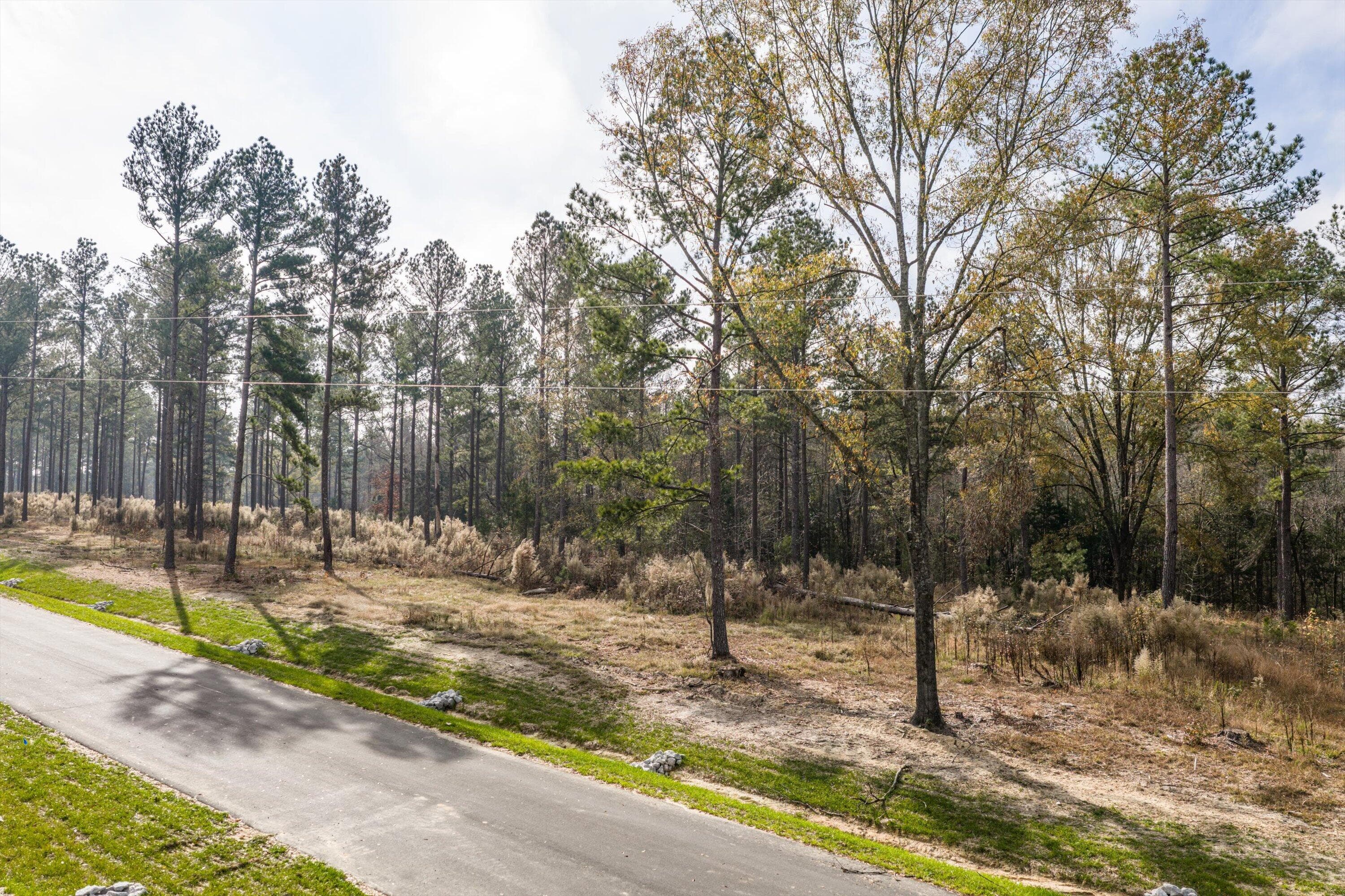 Residential Lot at 158 Beagle Chase Drive, Appling, GA 30802, photo 4 of 7