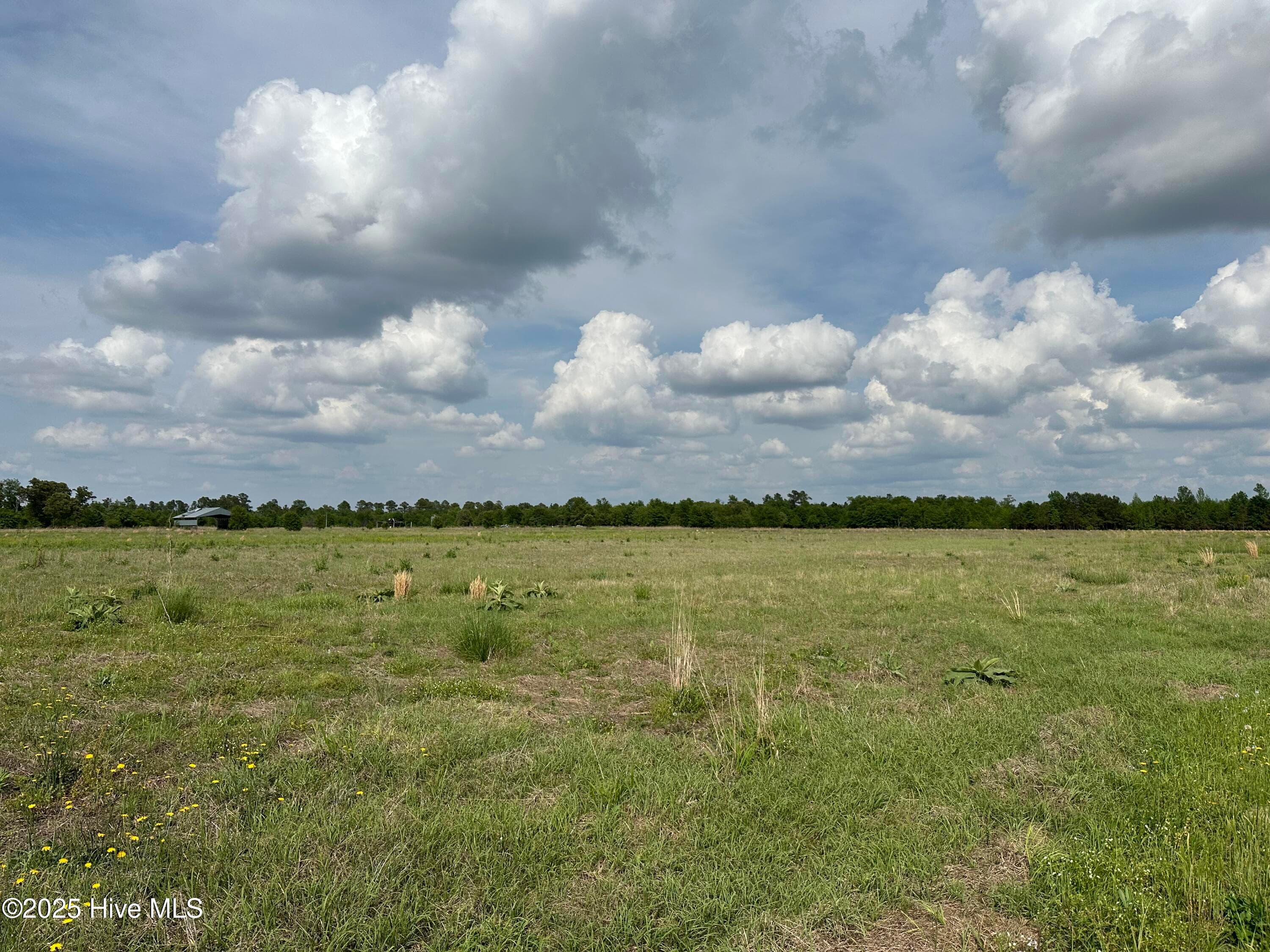 Undeveloped at Tract 2 Mcgirt Road, Maxton, NC 28364, photo 2 of 5