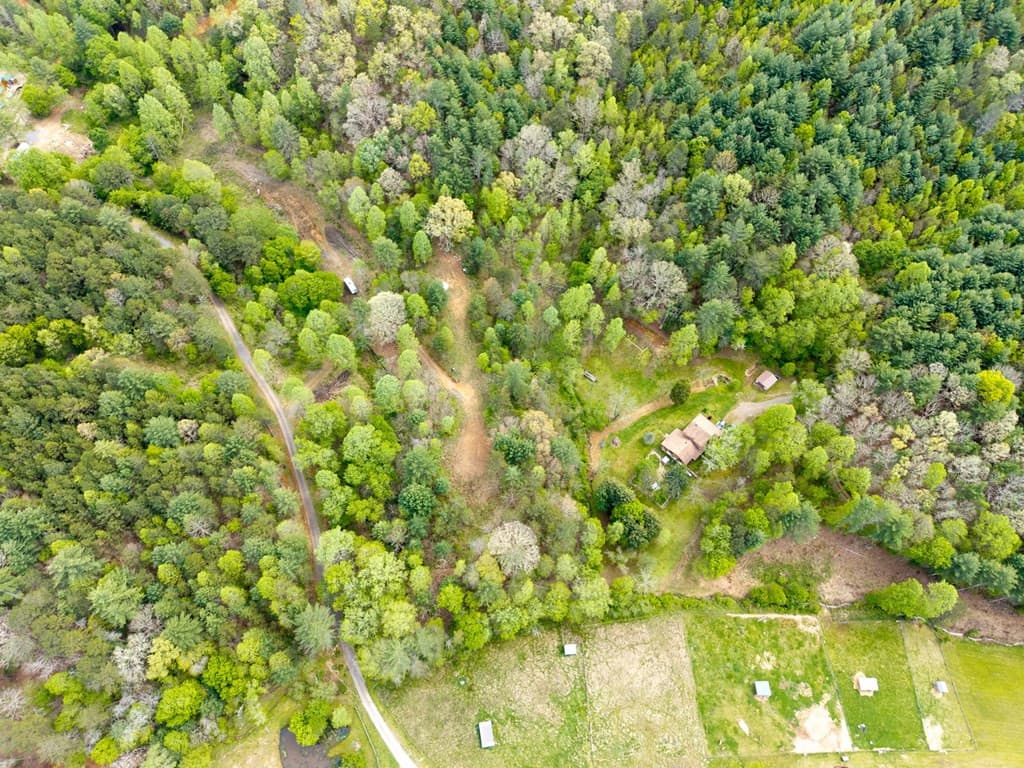 Wooded at 125 Milk And Honey Drive, Murphy, NC 28902, photo 4 of 23