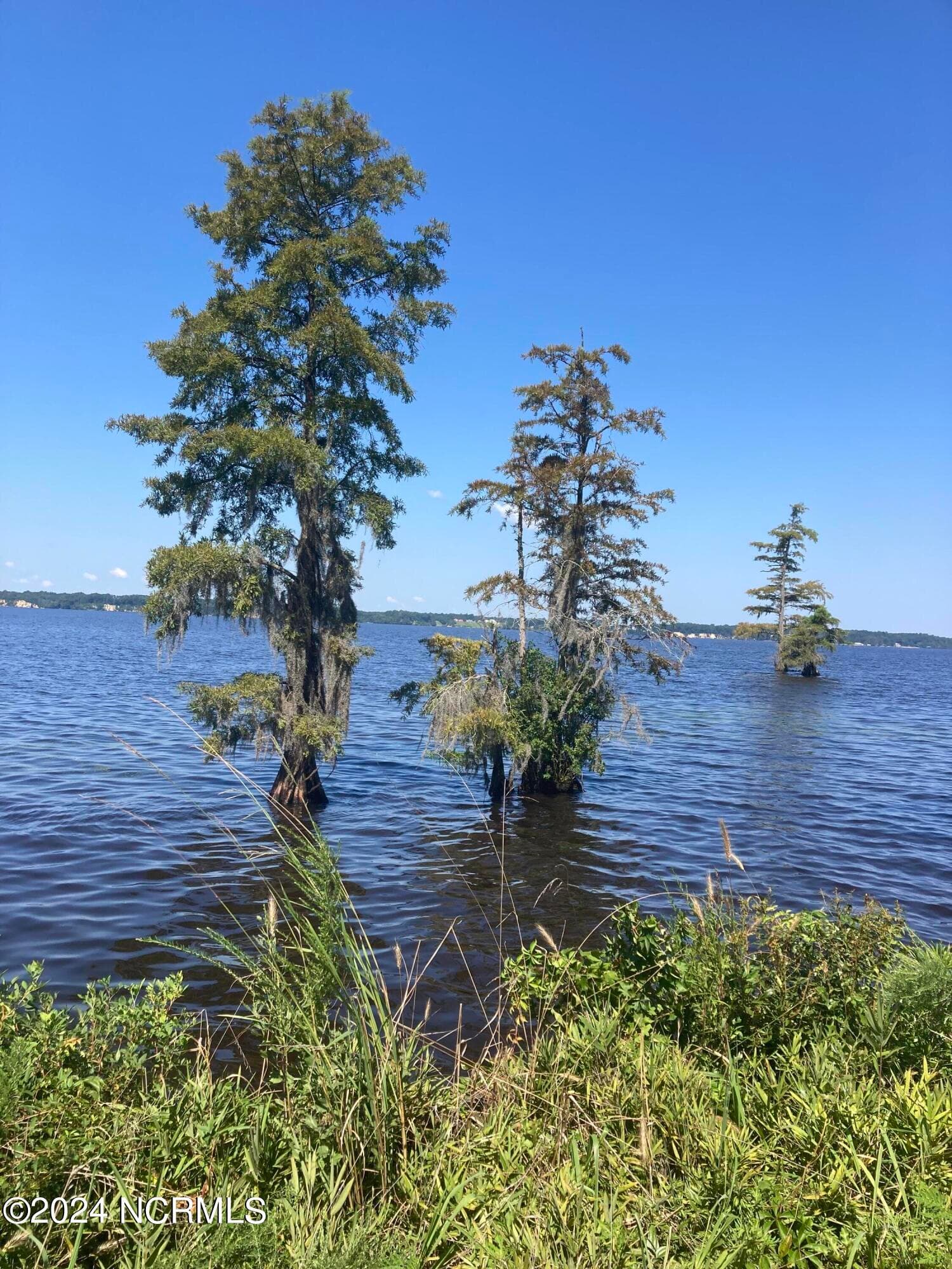 Undeveloped at 3047 Bass Landing Road, Edenton, NC 27932, Edenton, photo 3 of 19